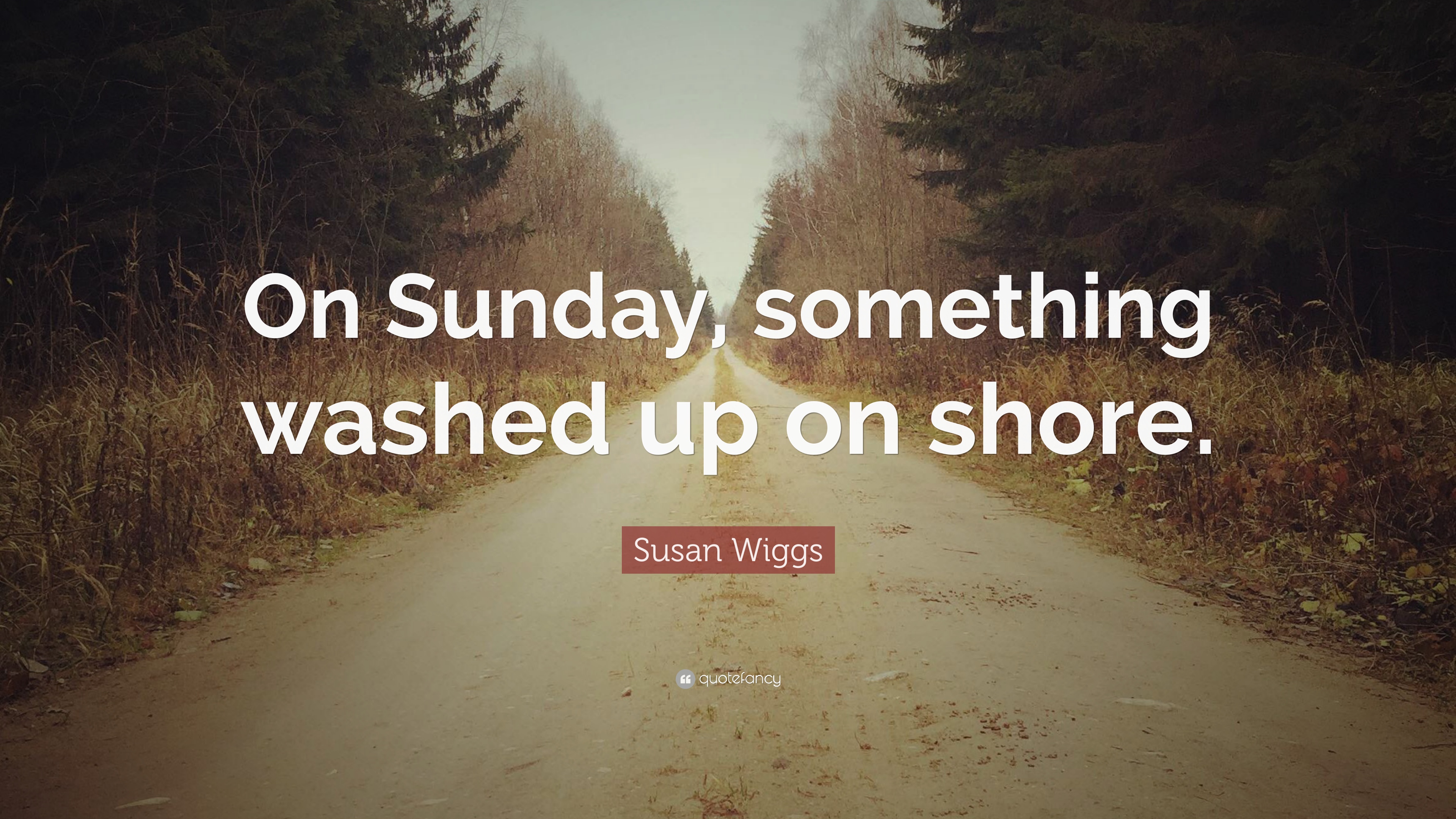 Susan Wiggs Quote: “On Sunday, something washed up on shore.” 7