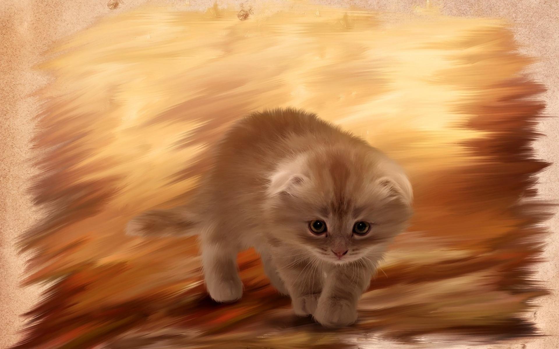 Furry kitten cat painting wallpaperx1200