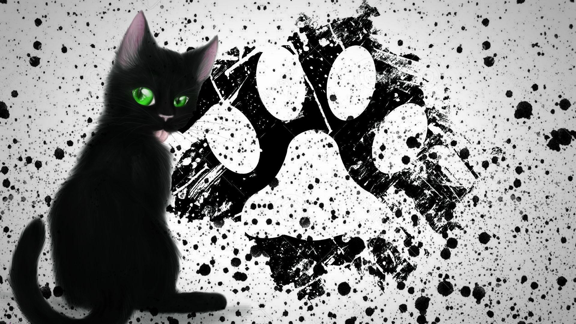 painting paws cat black cats kittens paint splatter Wallpaper HD