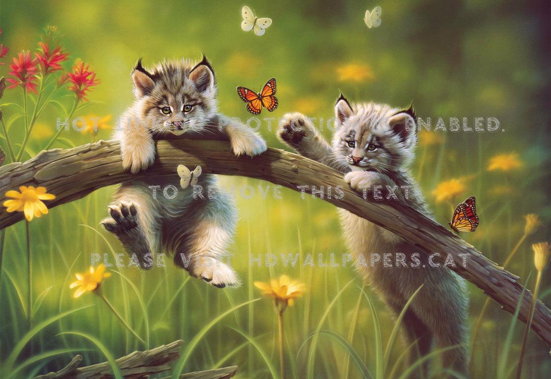 cats so cool sweet butterfly painting 3D cg