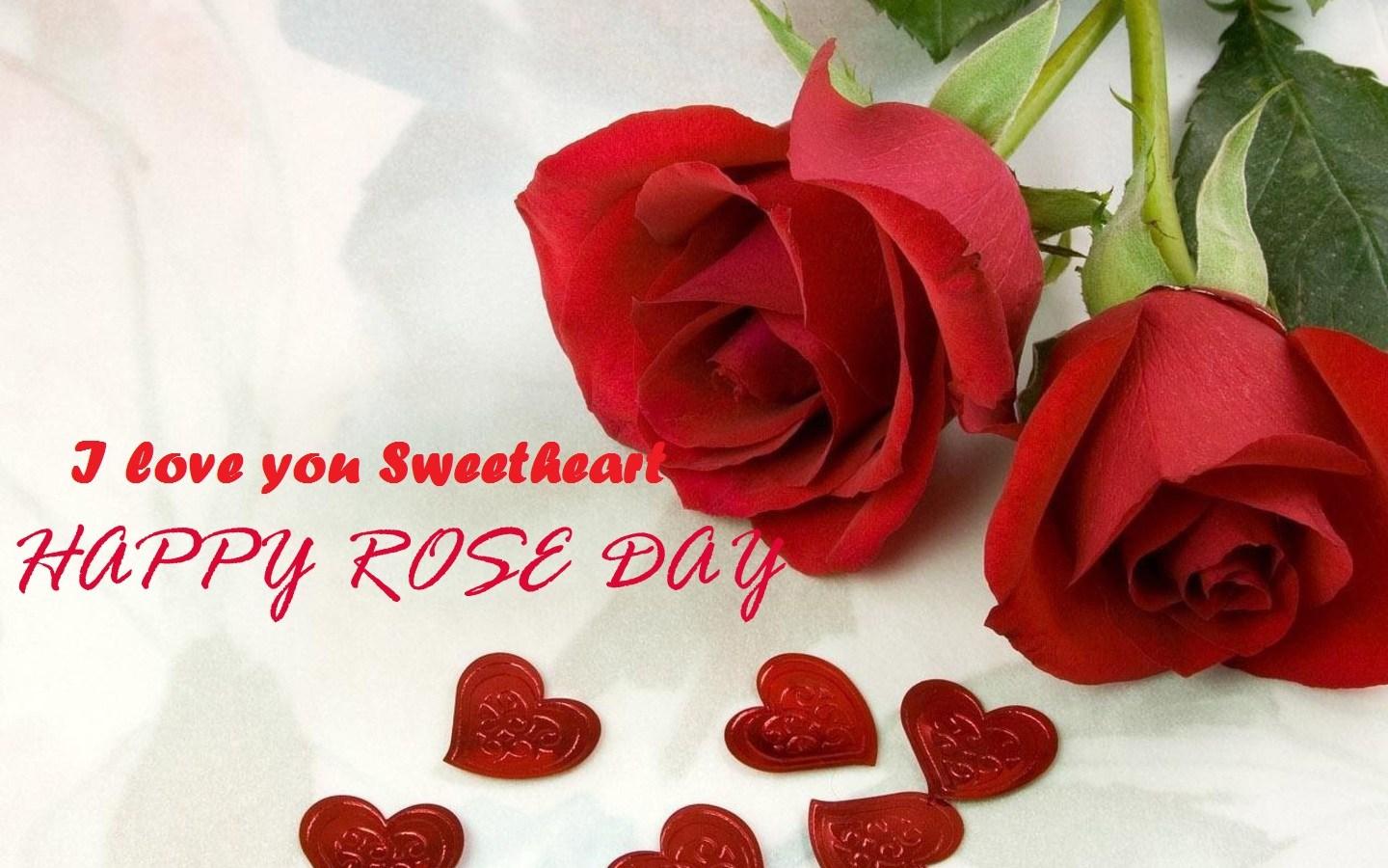 HD Wallpaper of Rose Day 2017 Latest Image of Rose for Gf lovers