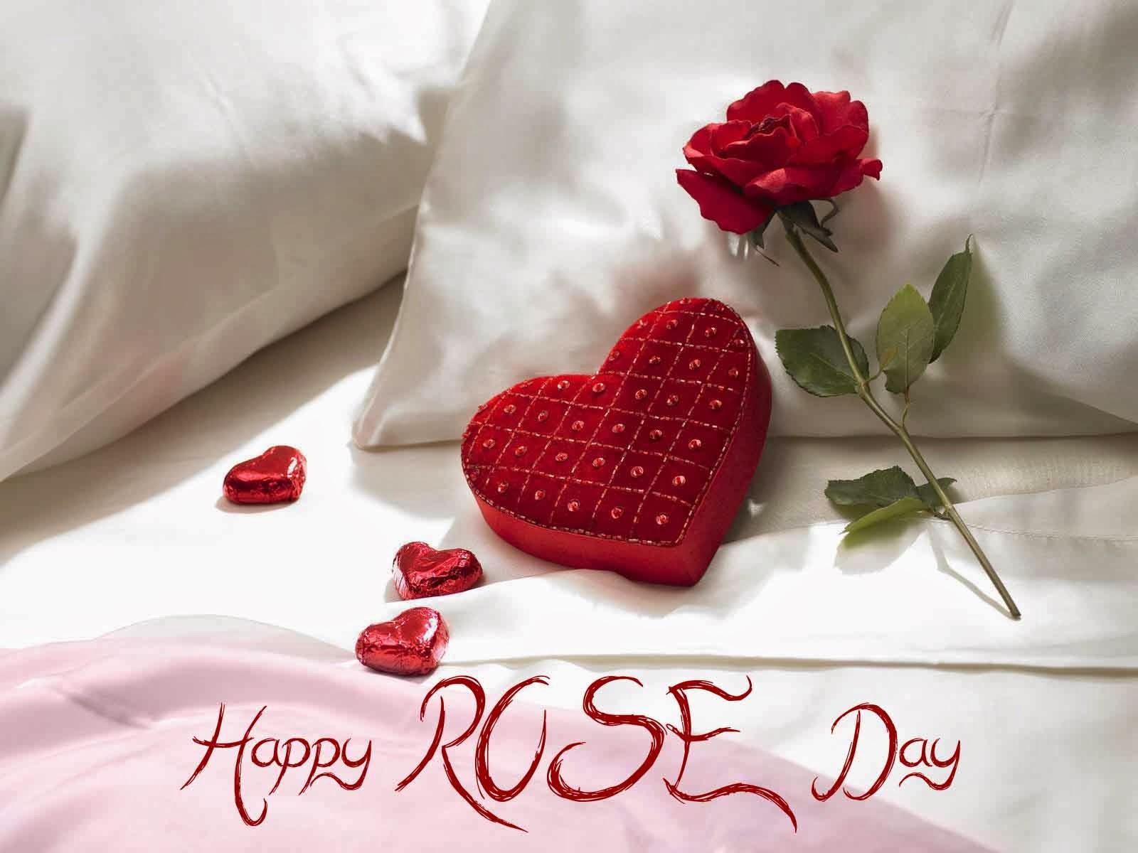 Happy Rose Day 2014 English SMS, Quotes, Wishes, Picture, Image