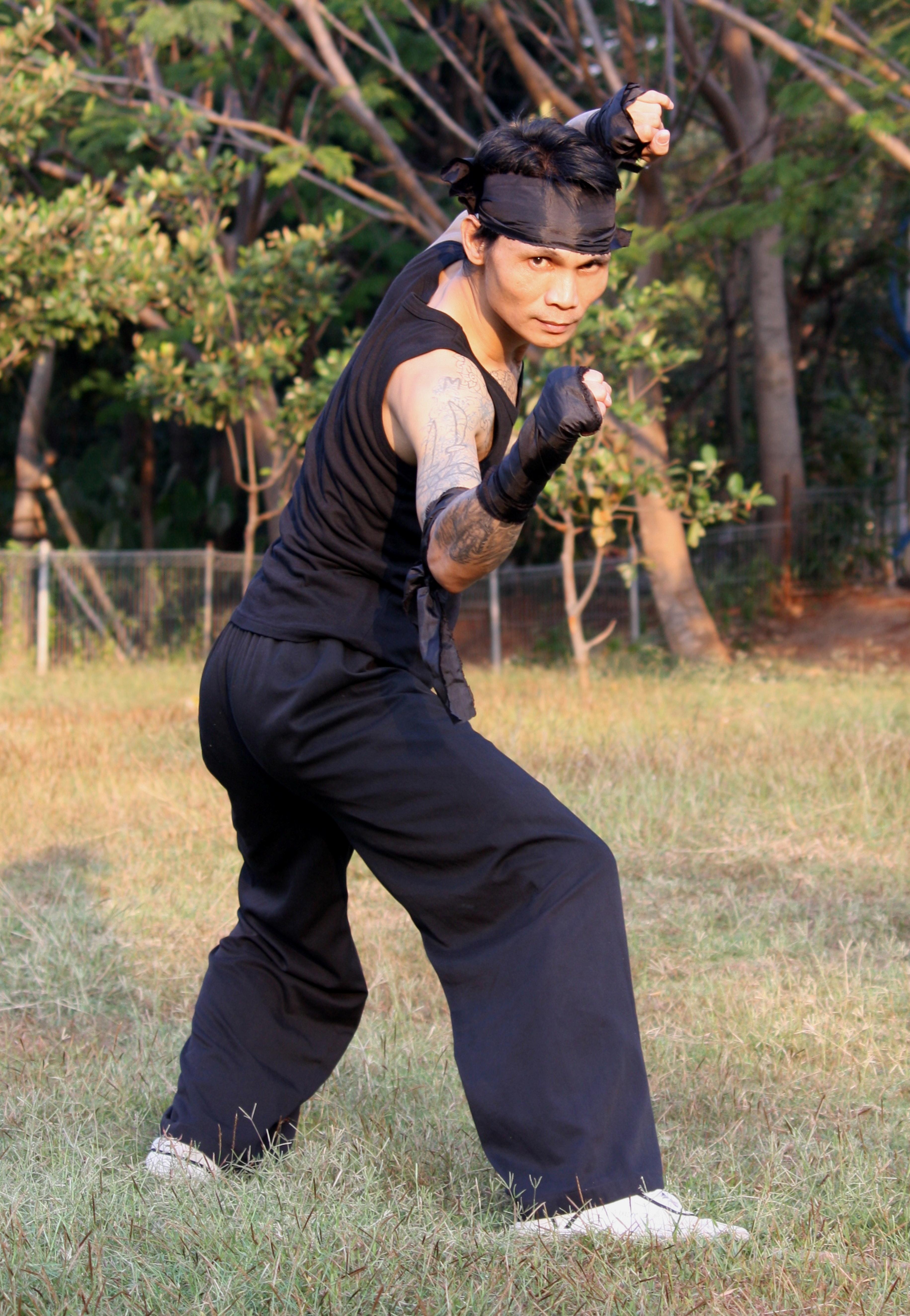 Free of kung fu, martial arts, silat