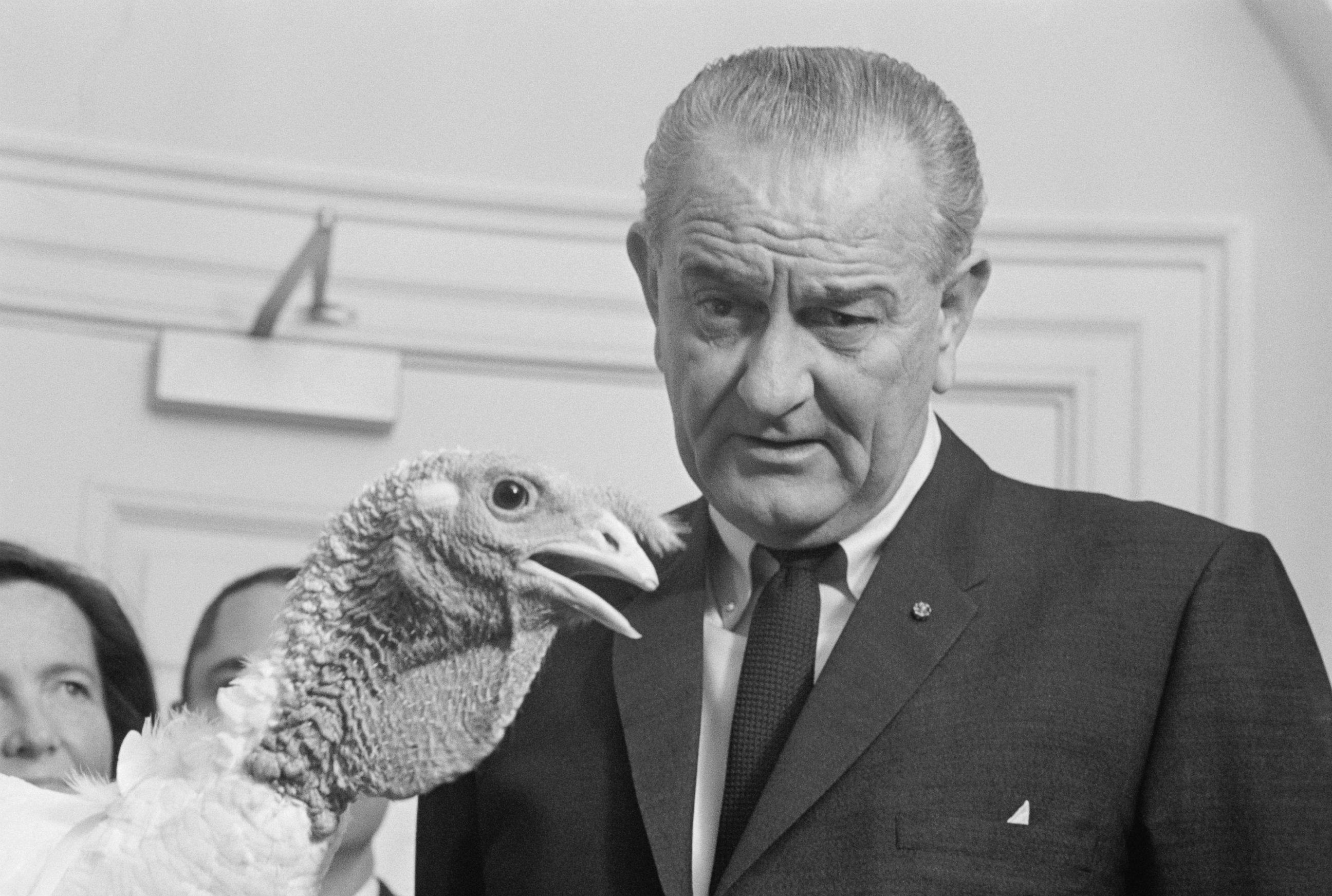 President Lyndon B. Johnson and a turkey presented to him in