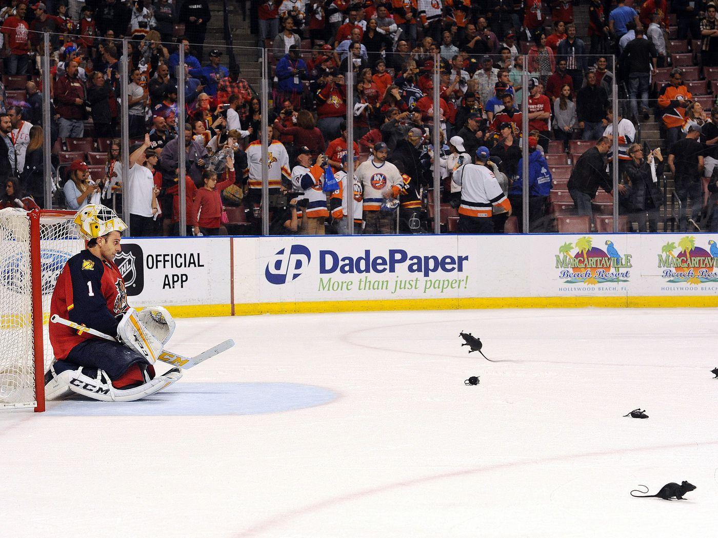 13,780 Roberto Luongo Photos & High Res Pictures - Getty Images