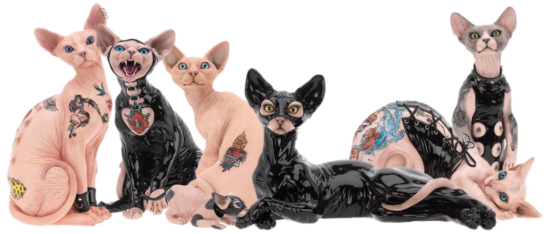 Cats image Sphynx Cats HD wallpaper and background photo