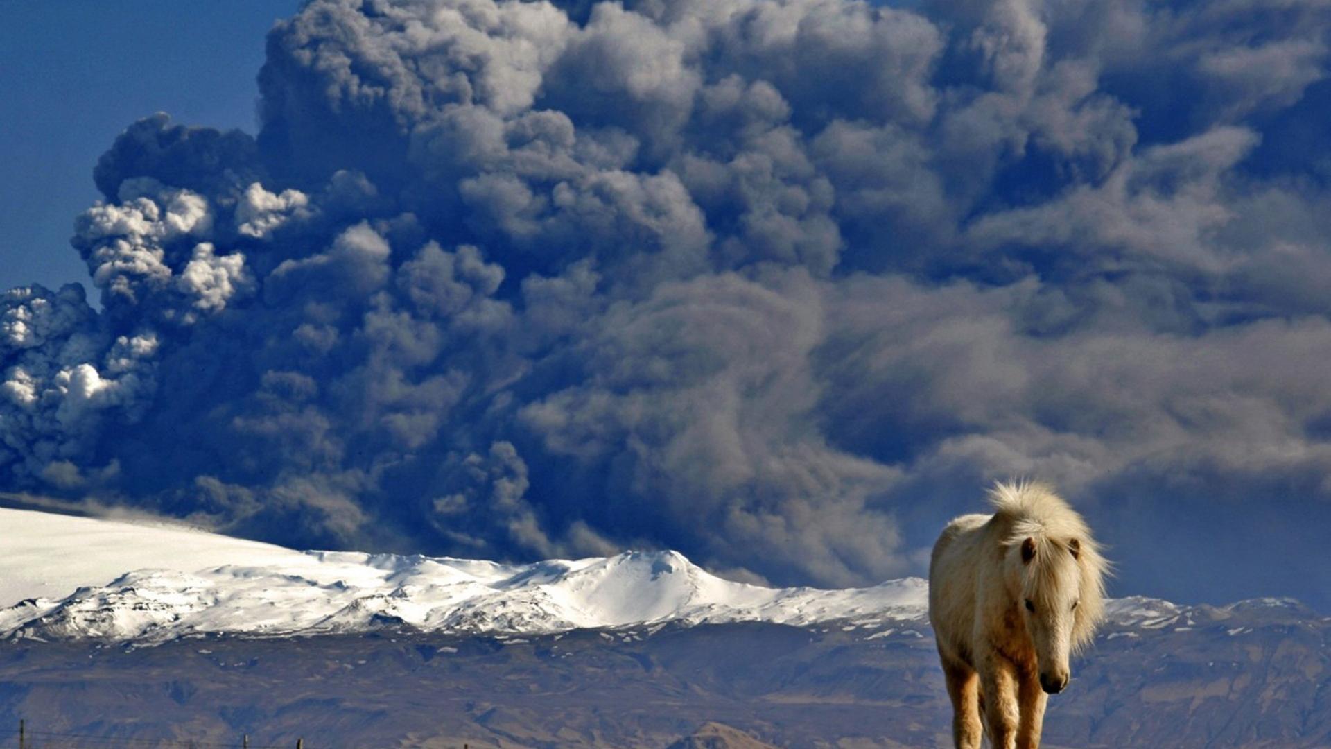 Animals volcanoes national geographic horses iceland eruption