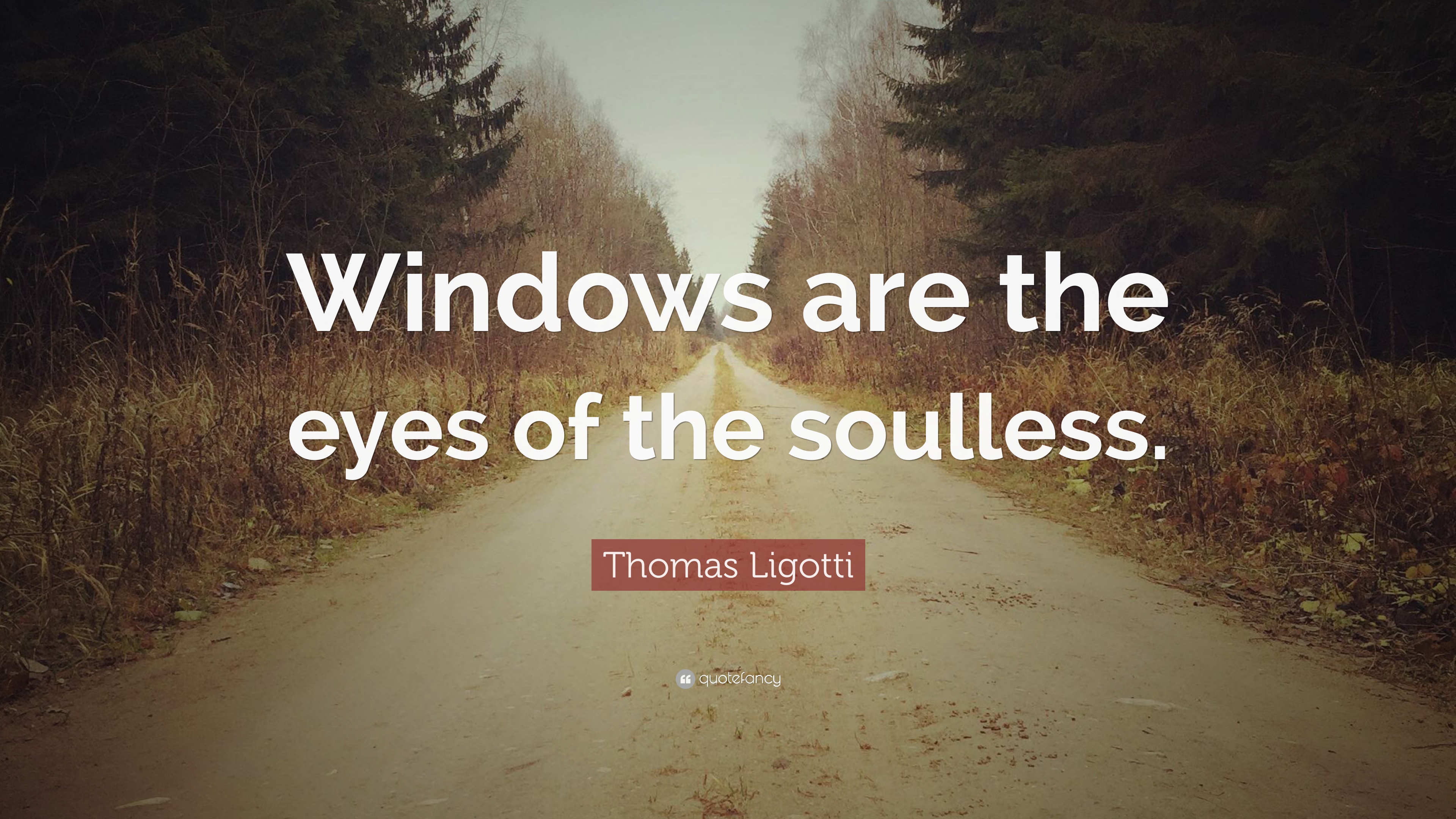 Thomas Ligotti Quote: “Windows are the eyes of the soulless.” 9