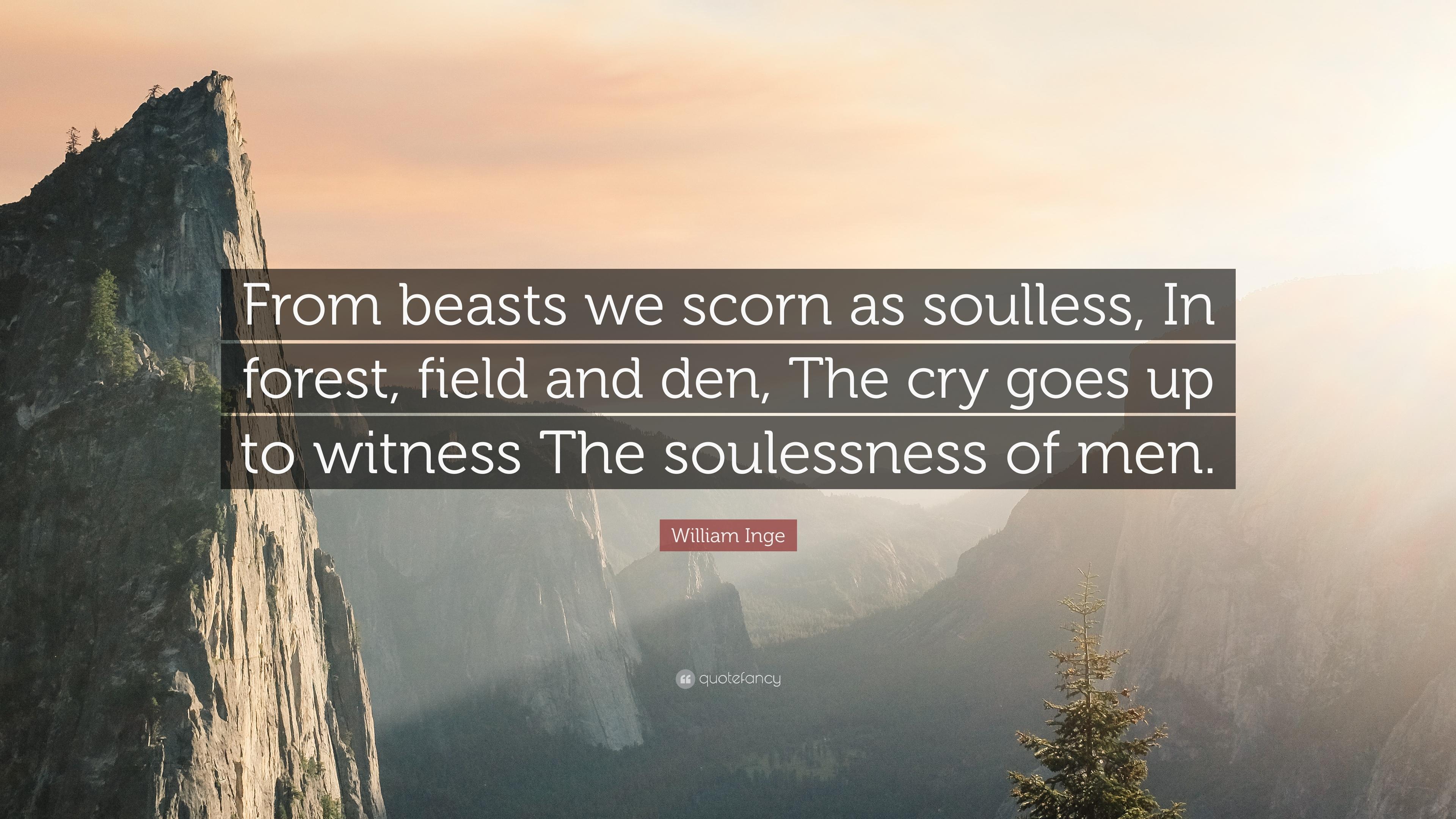 William Inge Quote: “From beasts we scorn as soulless, In forest