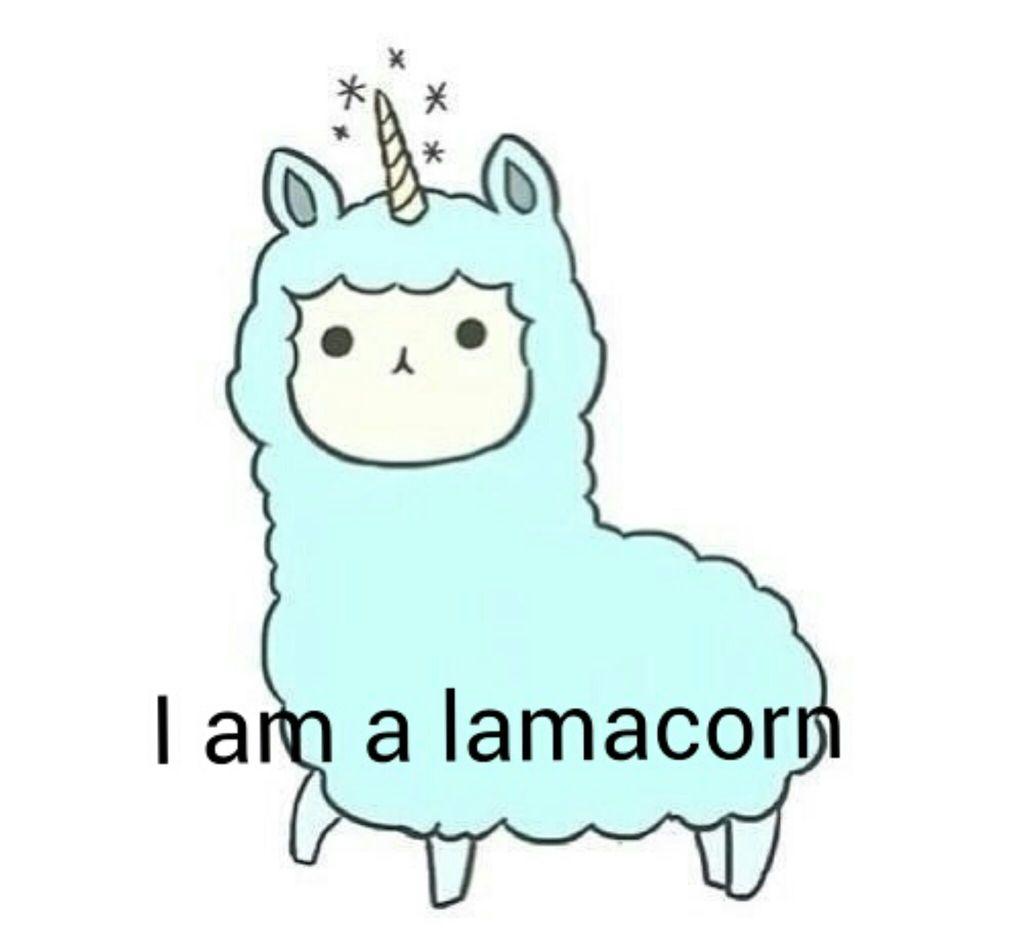 image about Unicórnio ????✨. See more about