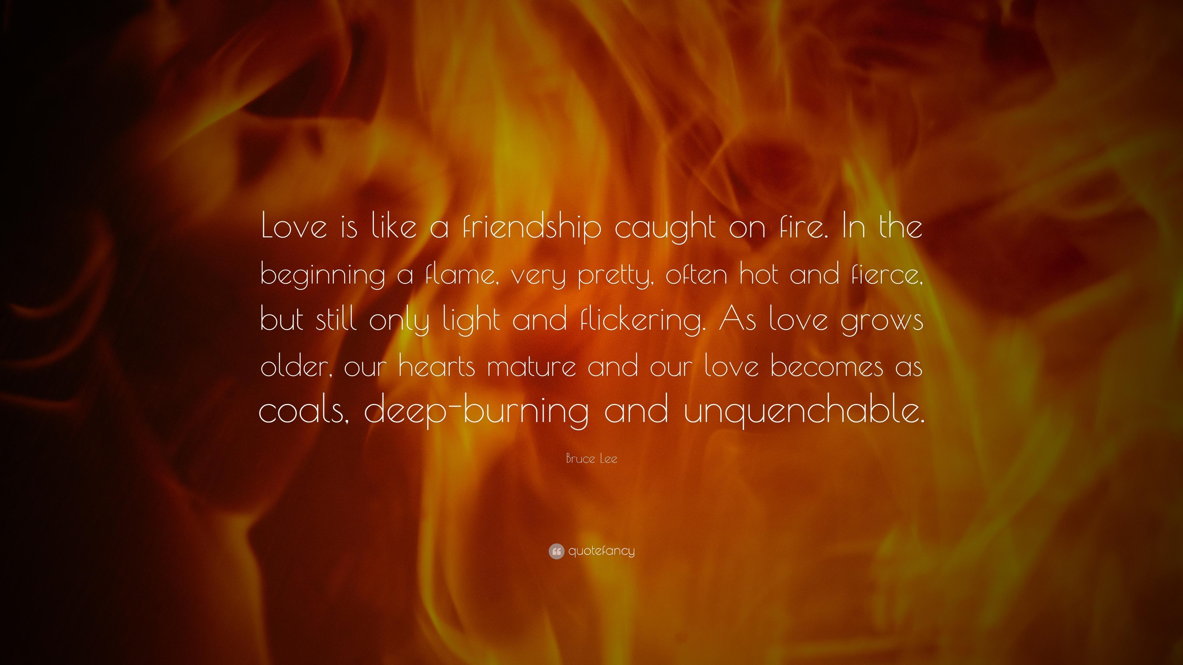 Bruce Lee Quote: “Love is like a friendship caught on fire. In