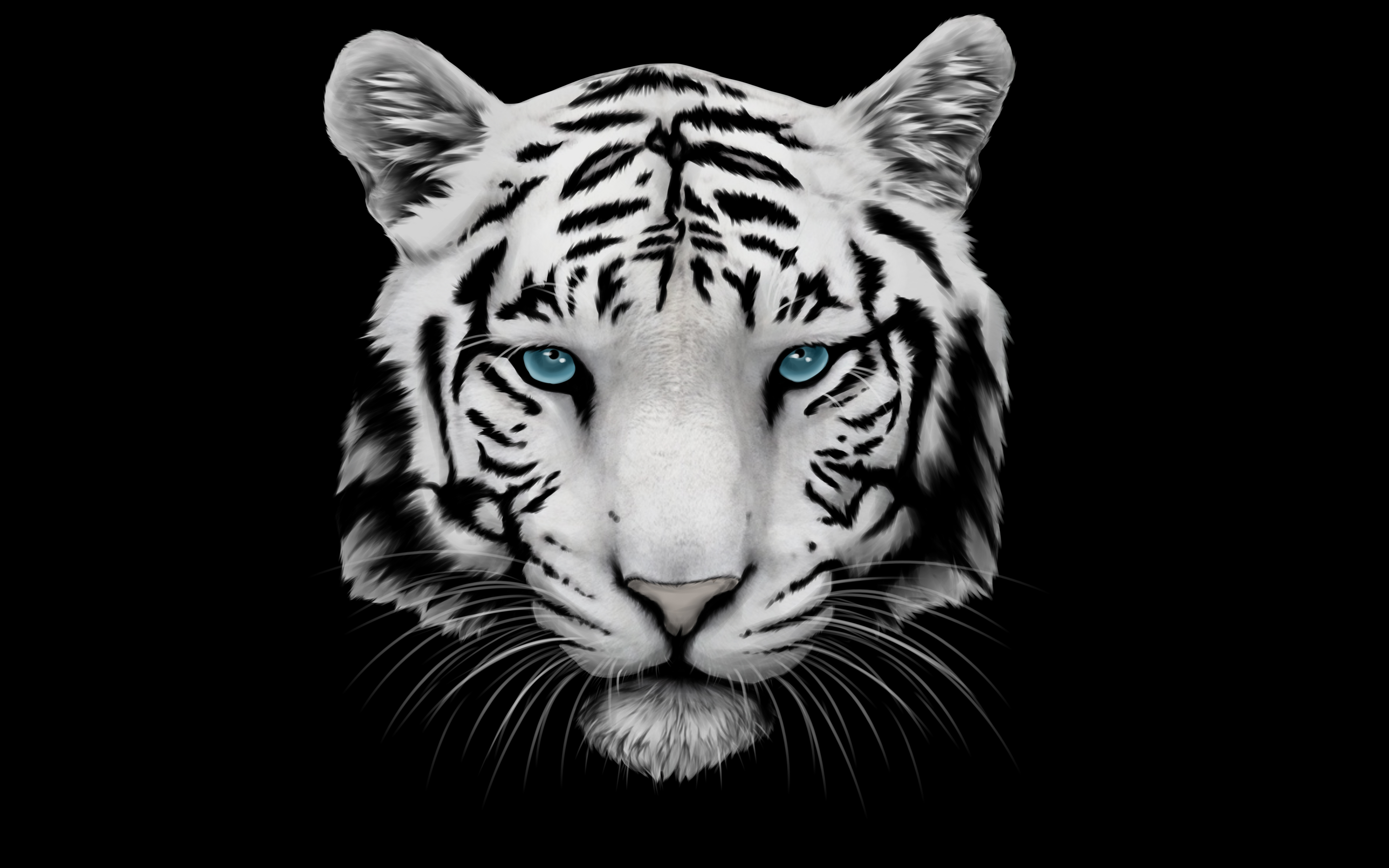 White Tiger Wallpaper Image Photo Picture Background