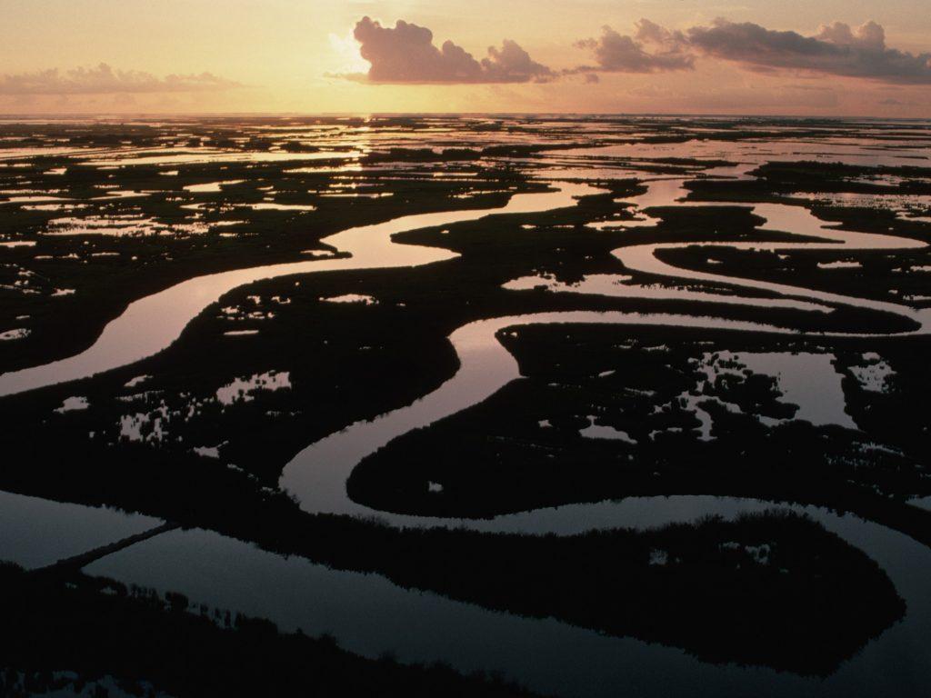 Aerial of the Mississippi River Delta Wallpaper