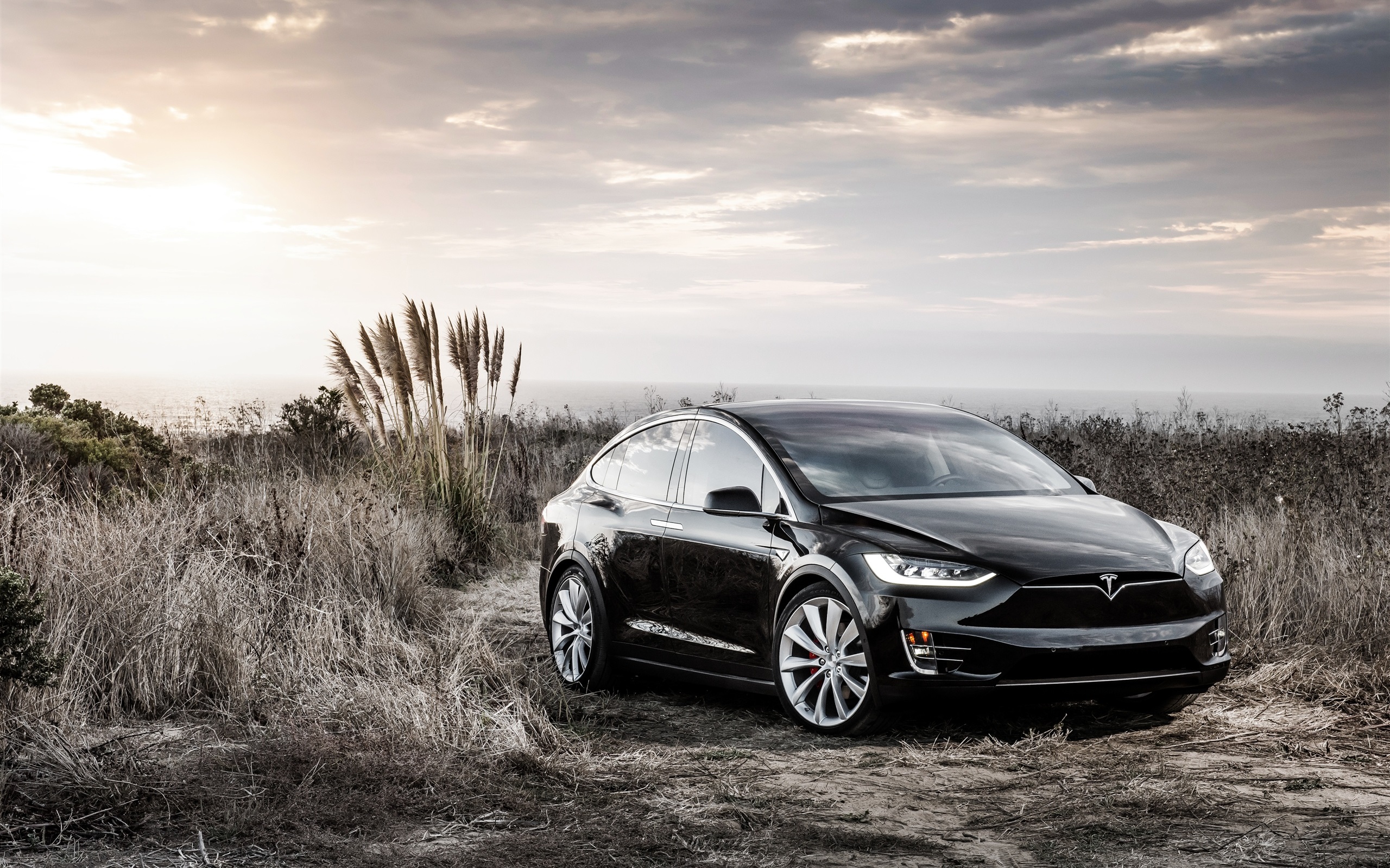 Tesla Model X concept electric car wallpaper