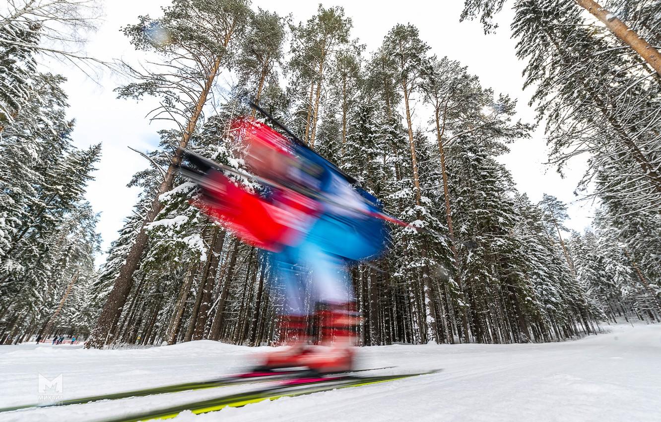Wallpaper winter, forest, speed, biathlon, biathlete image