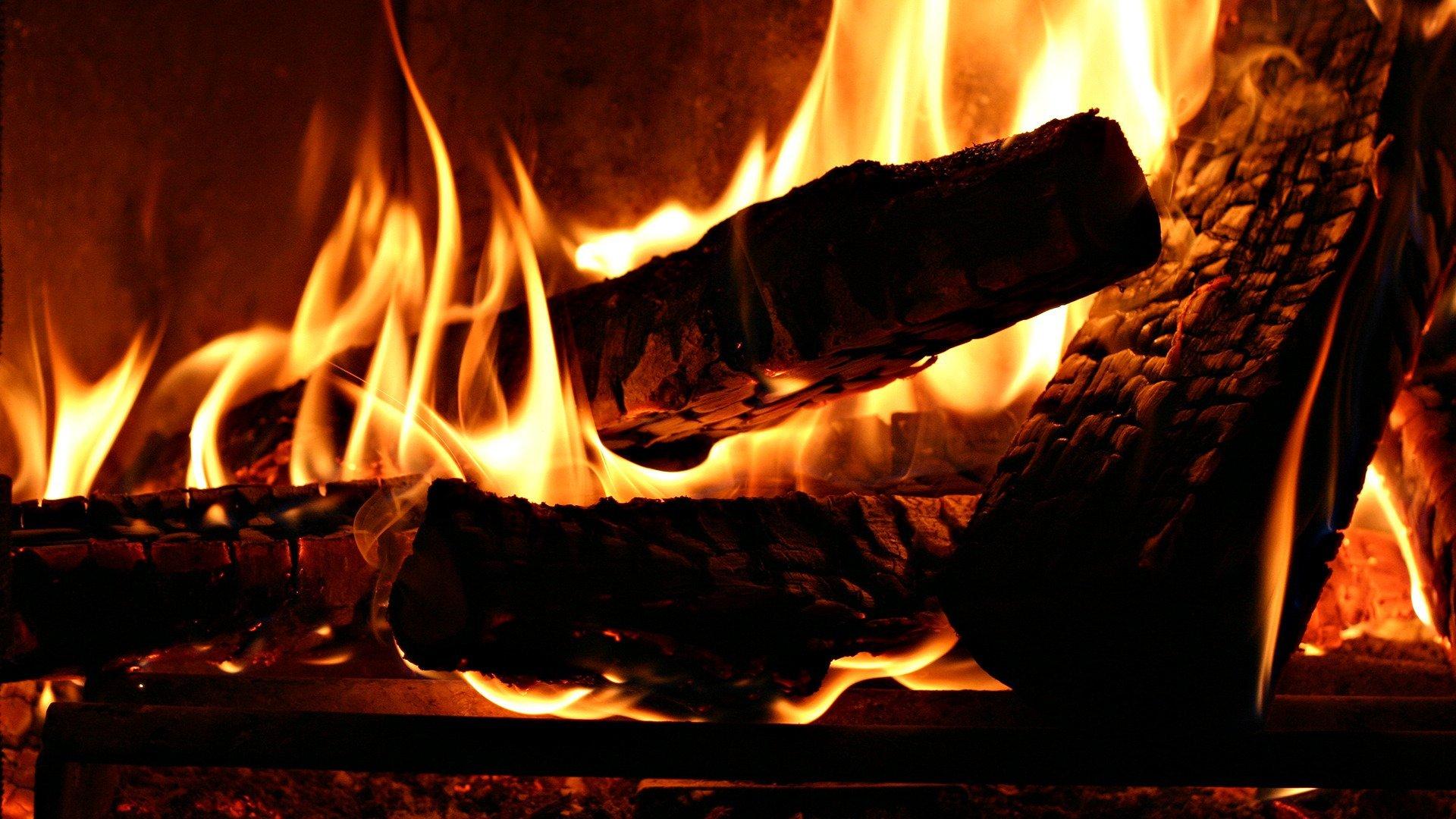 fire firewood heat tree HD wallpaper