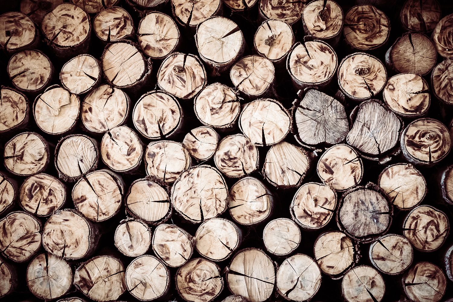 Buy Firewood Logs Wallpaper Online