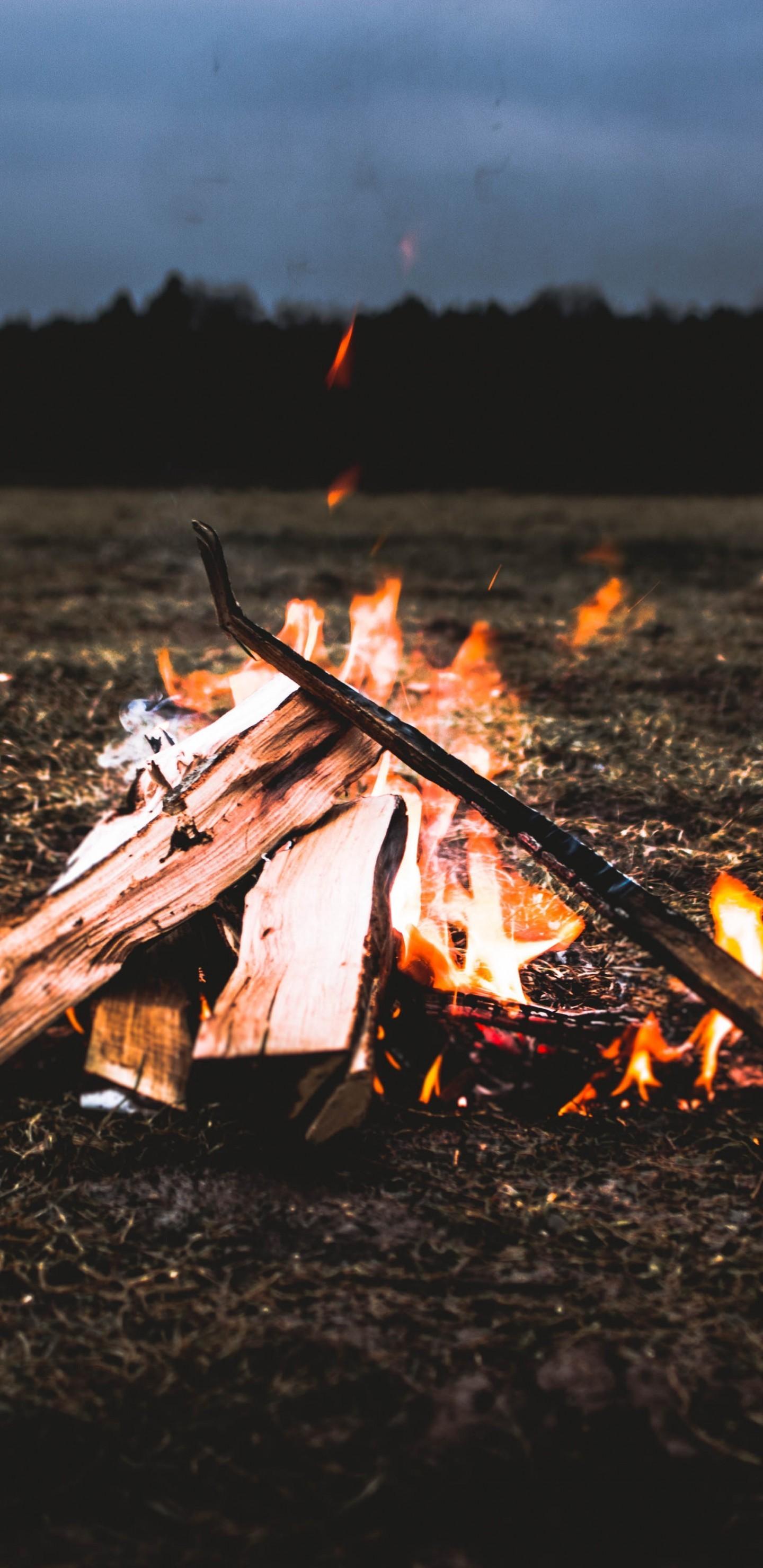 Download 1440x2960 Bonfire, Campfire, Night, Field, Firewood