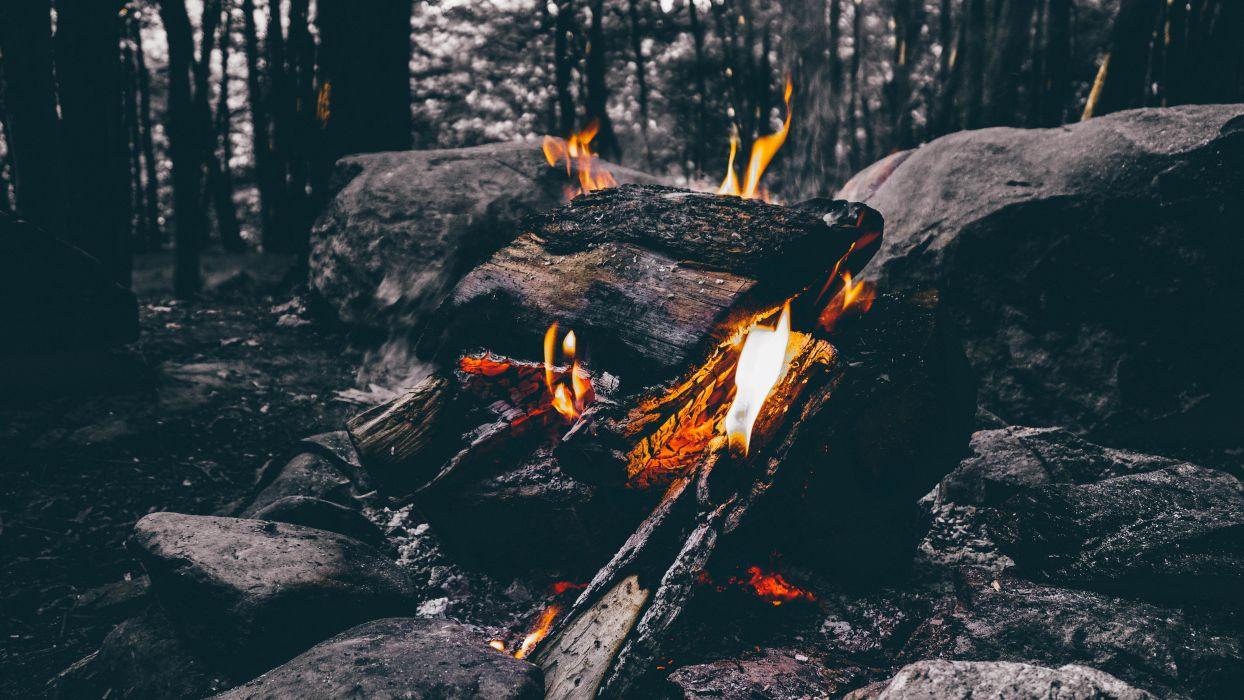 Ash burning campfire fire firewood flame forest outdoors rocks trees