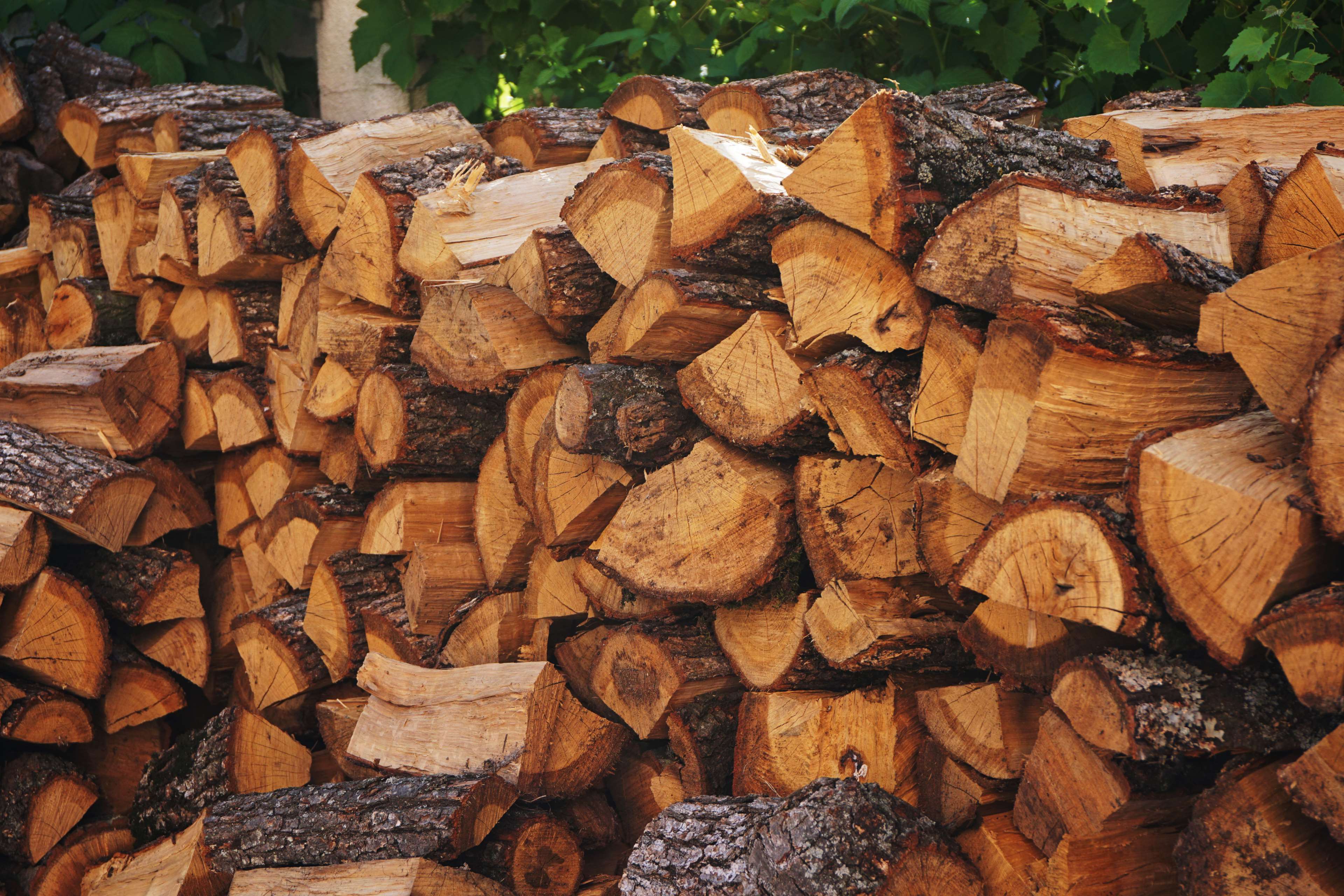 bark, chopped wood, firewoods, wood, woodpile 4k wallpaper