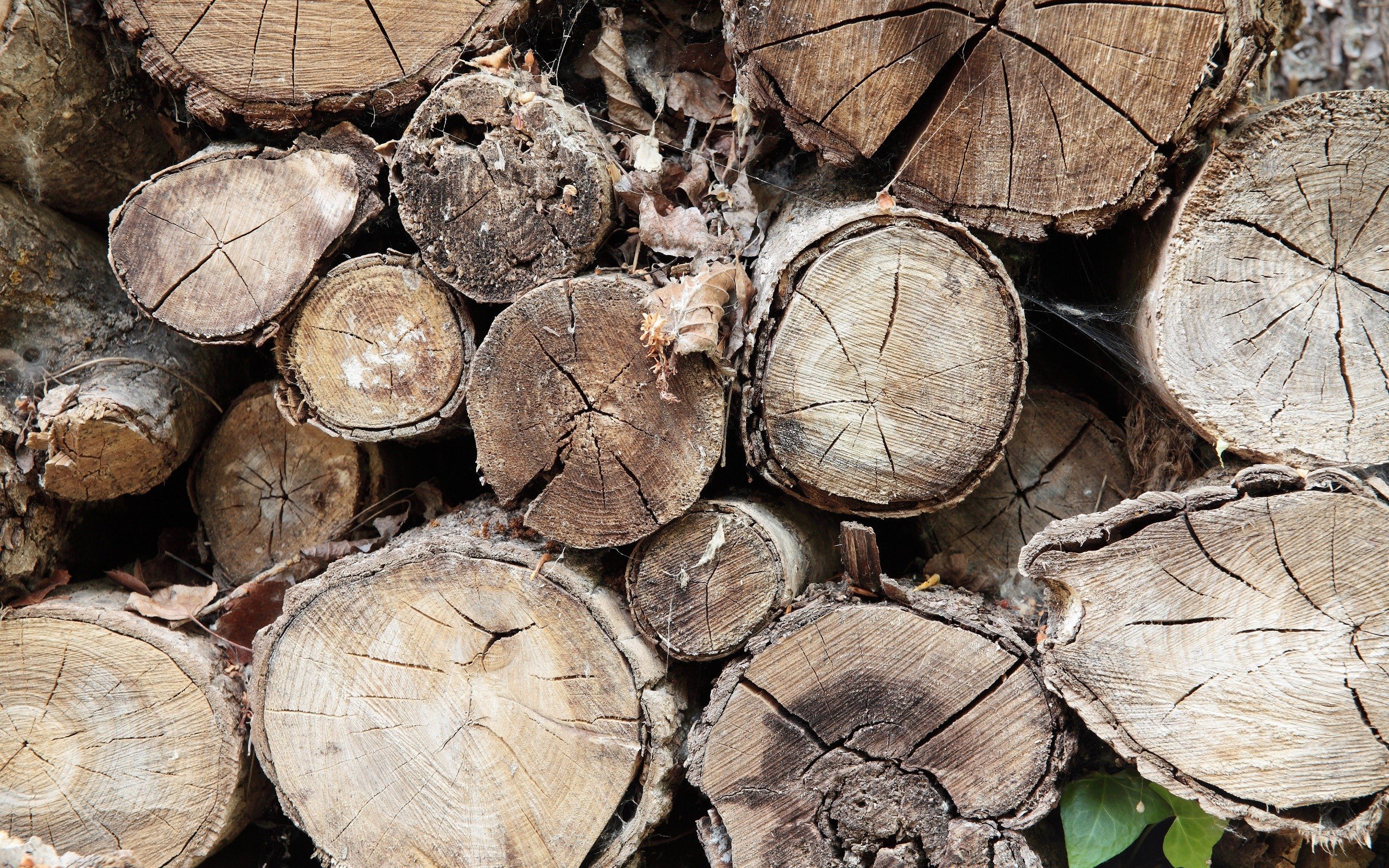 firewood wood wallpaper and background