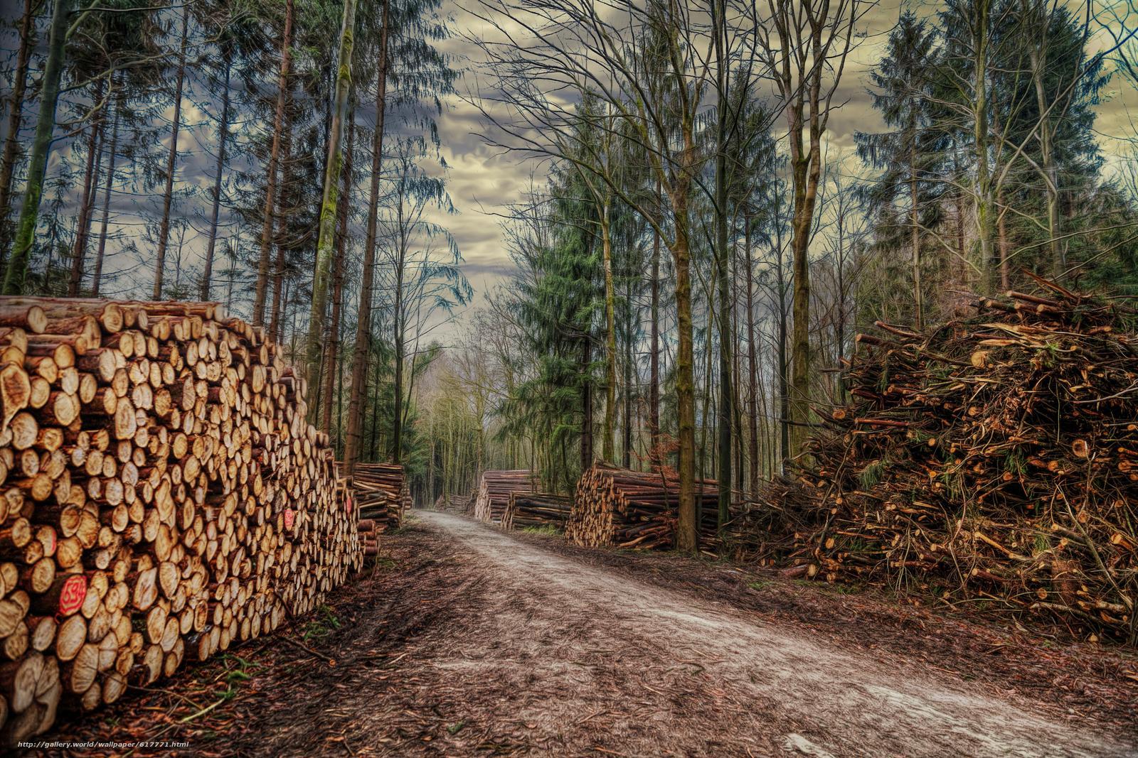 Firewood Wallpaper, 39 Firewood 2016 Wallpaper's Archive