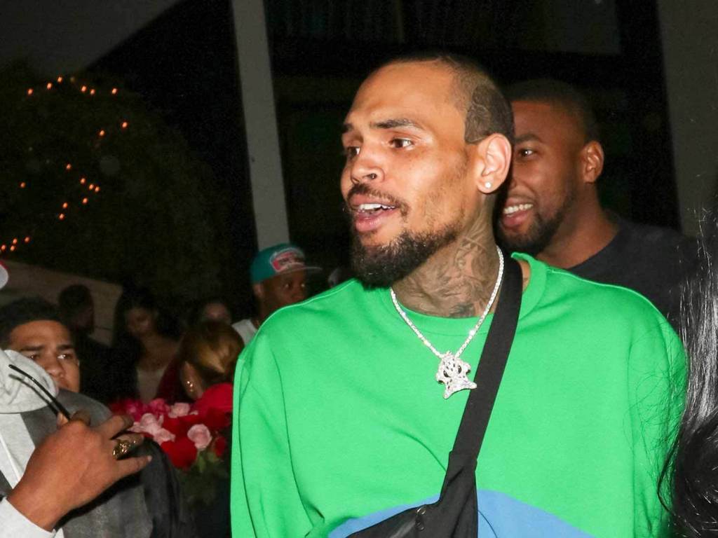 Chris Brown Accuser Details Alleged 'Brutal and Violent' Rape