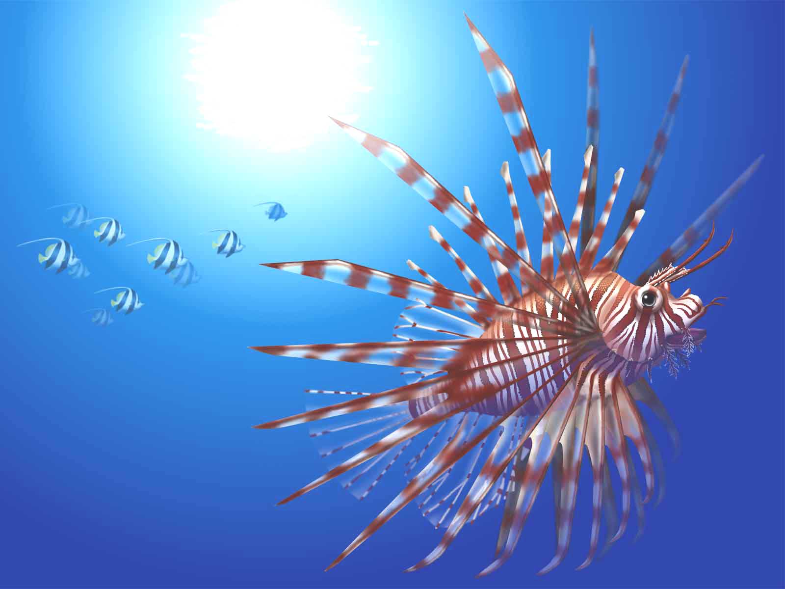 Red lion fish background, wallpaper & screensavers