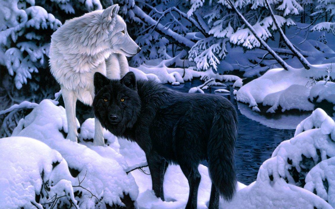 Black and white wolfs in the forest