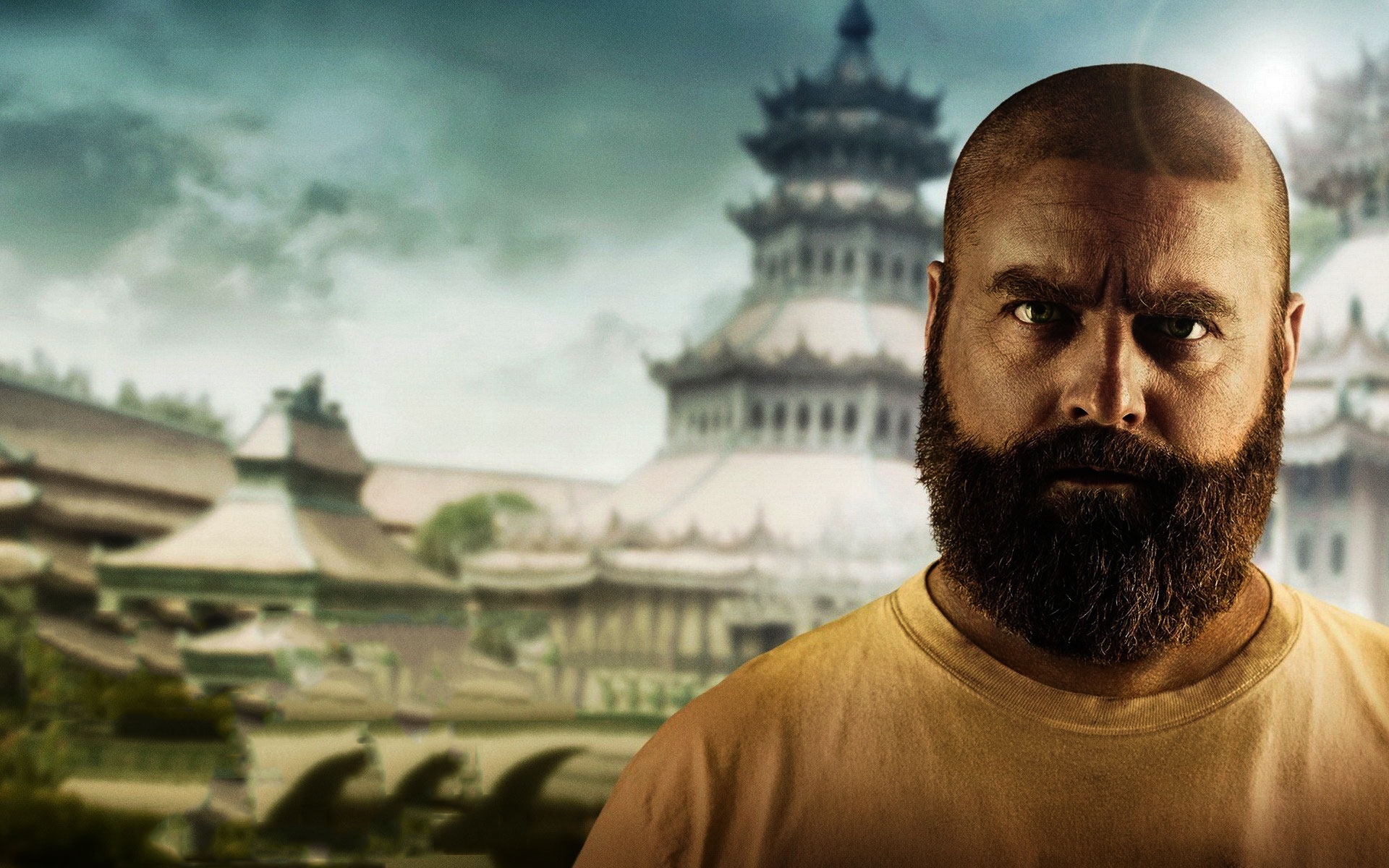 Zach Galifianakis HD Wallpaper