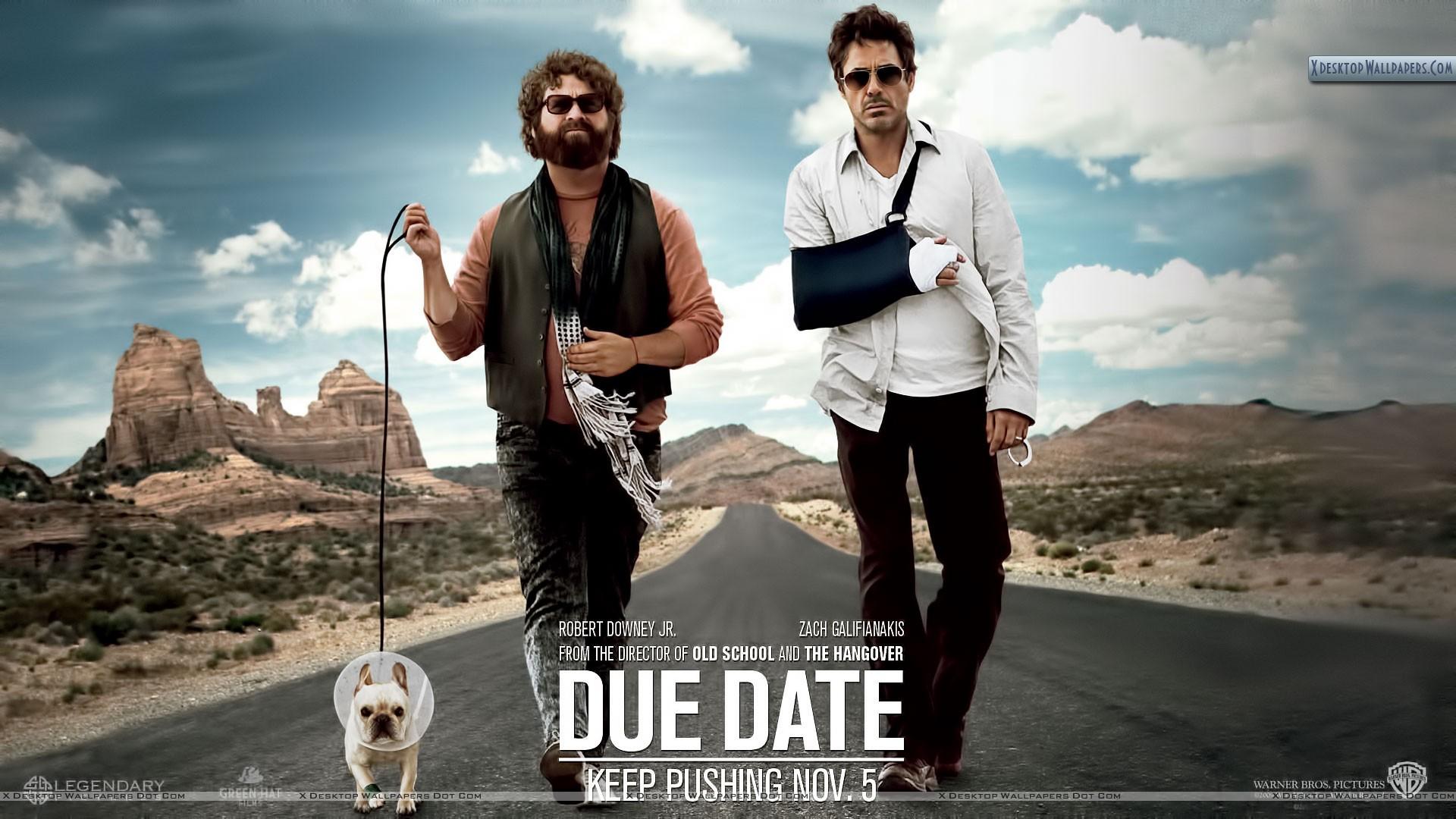 Robert Downey Jr. and Zach Galifianakis With Dog Wallpaper