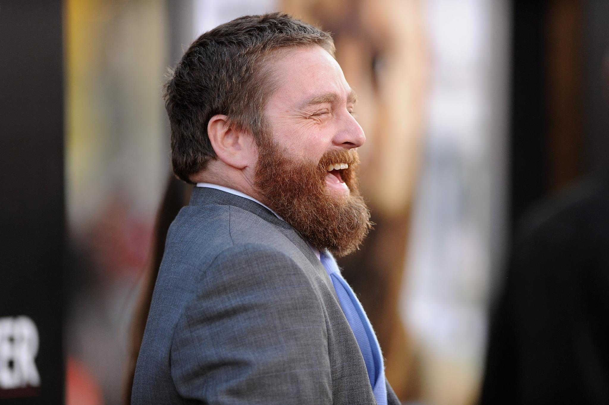 Zach Galifianakis HD Wallpaper