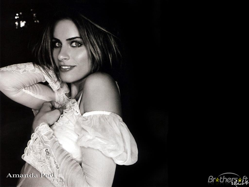 Wallpaper Pelho28: HD Wallpaper of Amanda Peet Hot