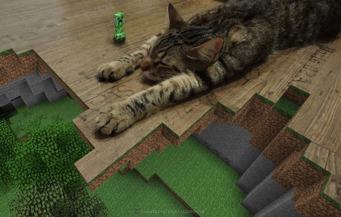 Minecraft Cat Wallpapers Wallpaper Cave