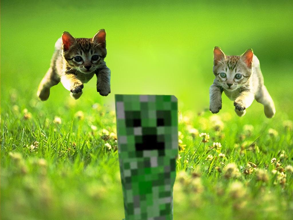 Minecraft Cat Wallpaper
