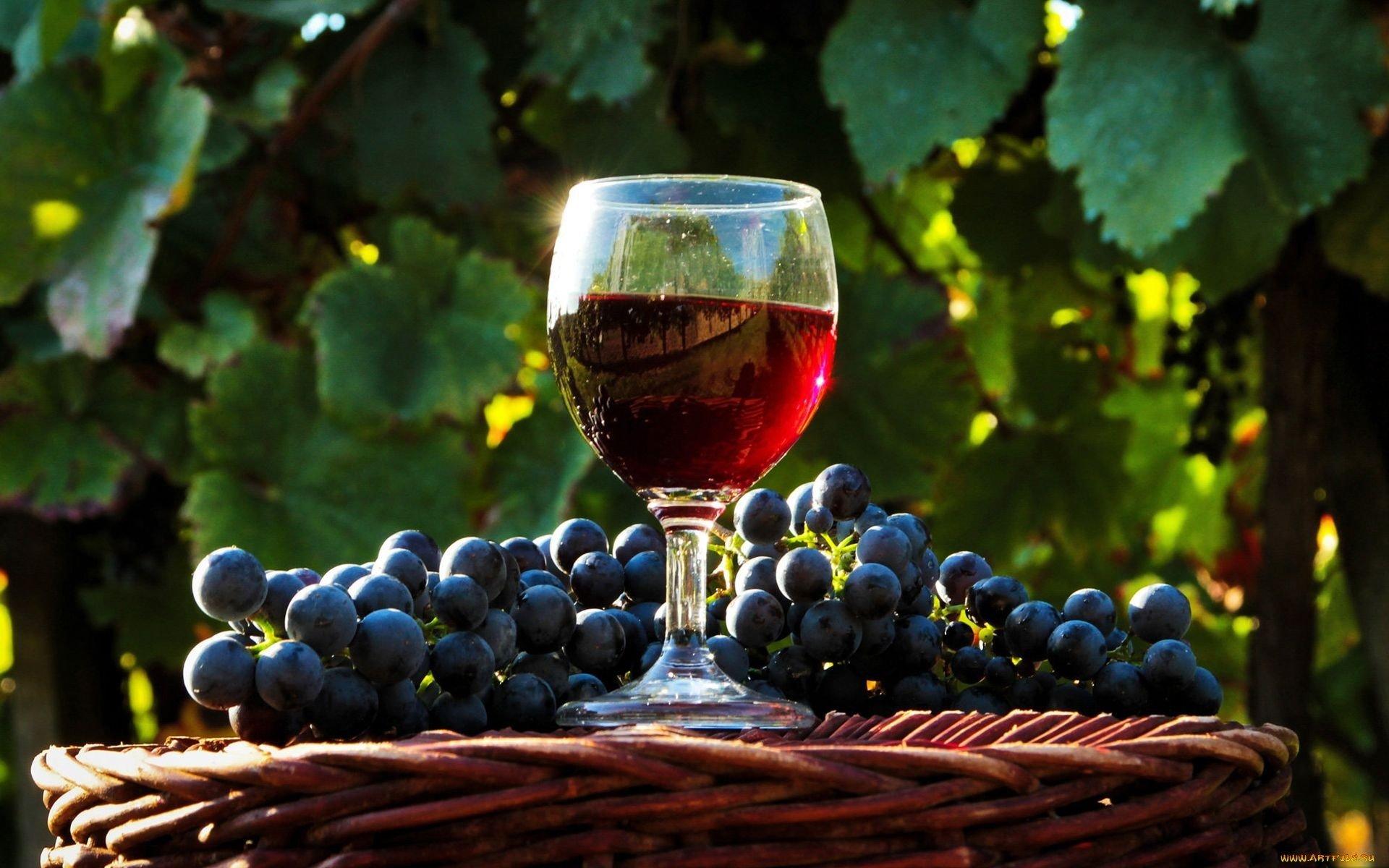 Wine HD Wallpaper and Background Image