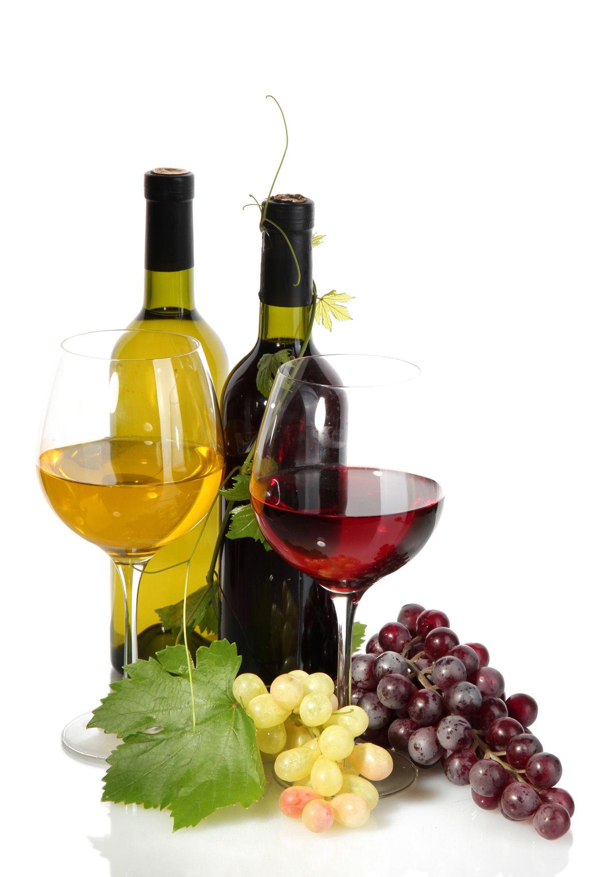 Wine and grapes 31497. sela. Wine, Grape juice, Vintage wine