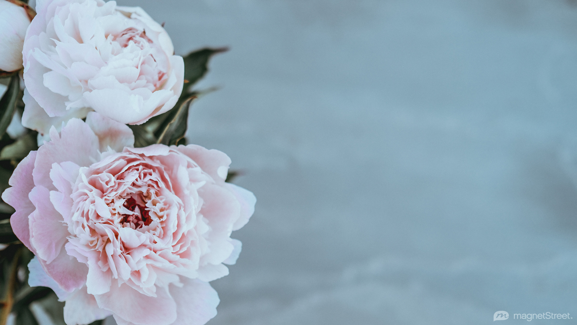 Wedding Wallpaper. Free Wedding Desktop Background from MagnetStreet