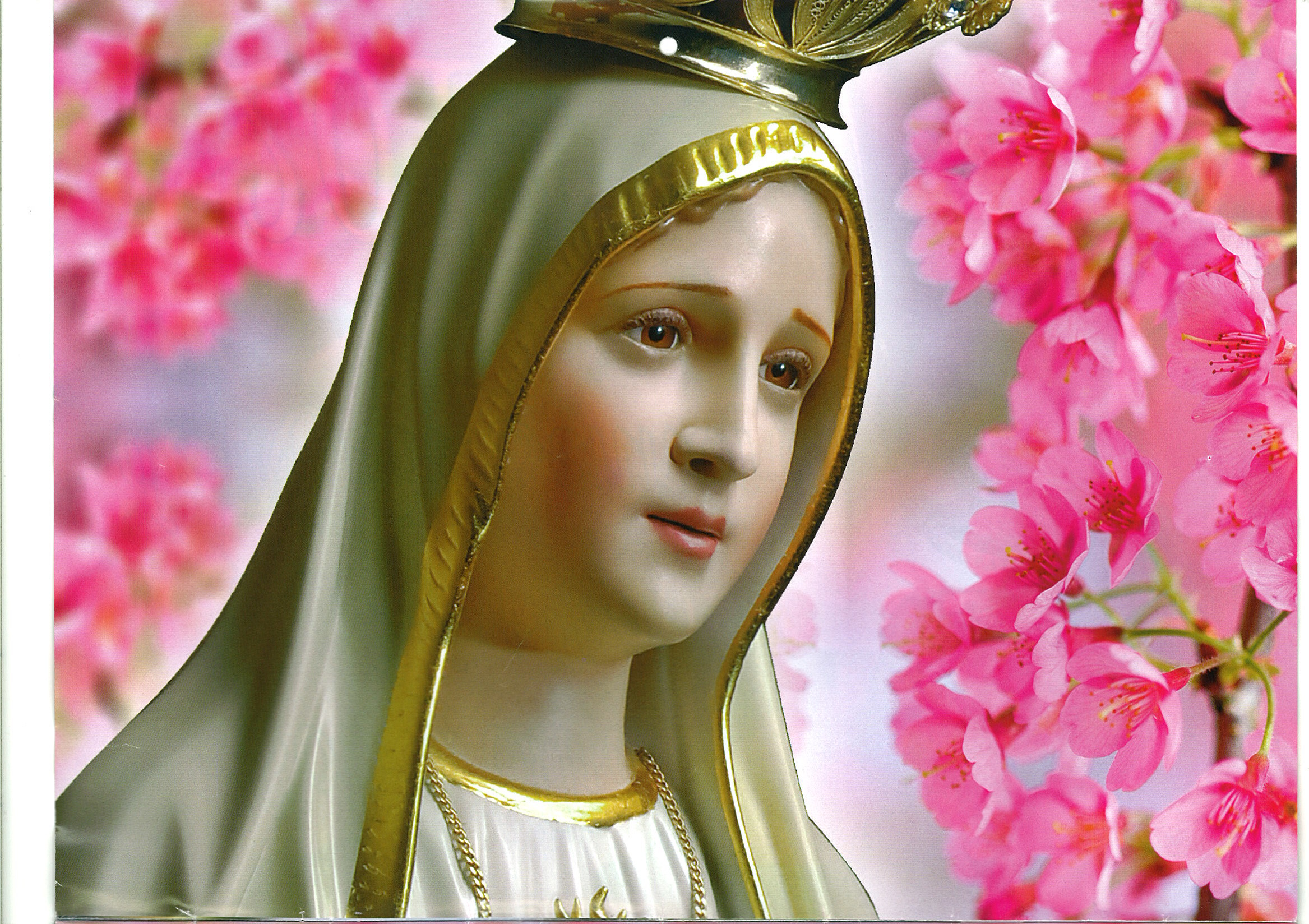 Our Lady of Fatima Wallpapers.