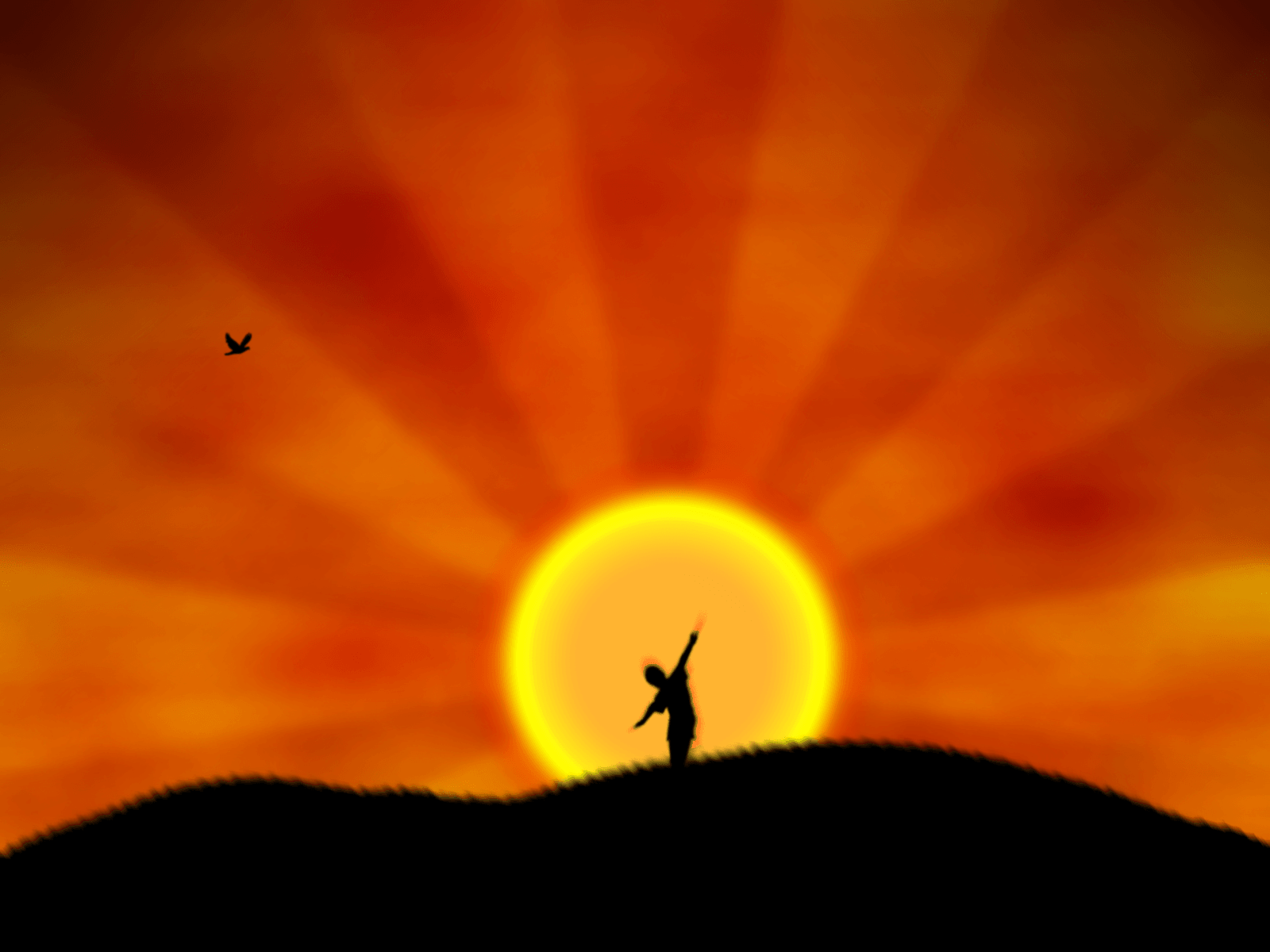 WallpaperMISC Sun Rise HD Wallpaper Free TOP High