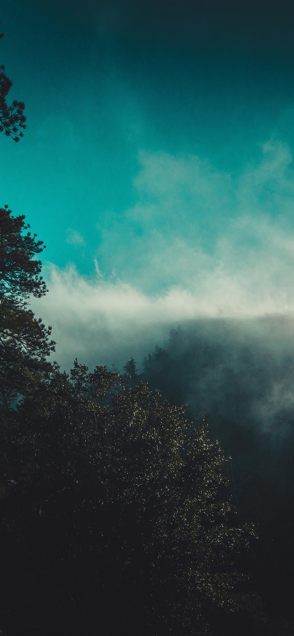 iPhone X wallpaper. mountain view blue