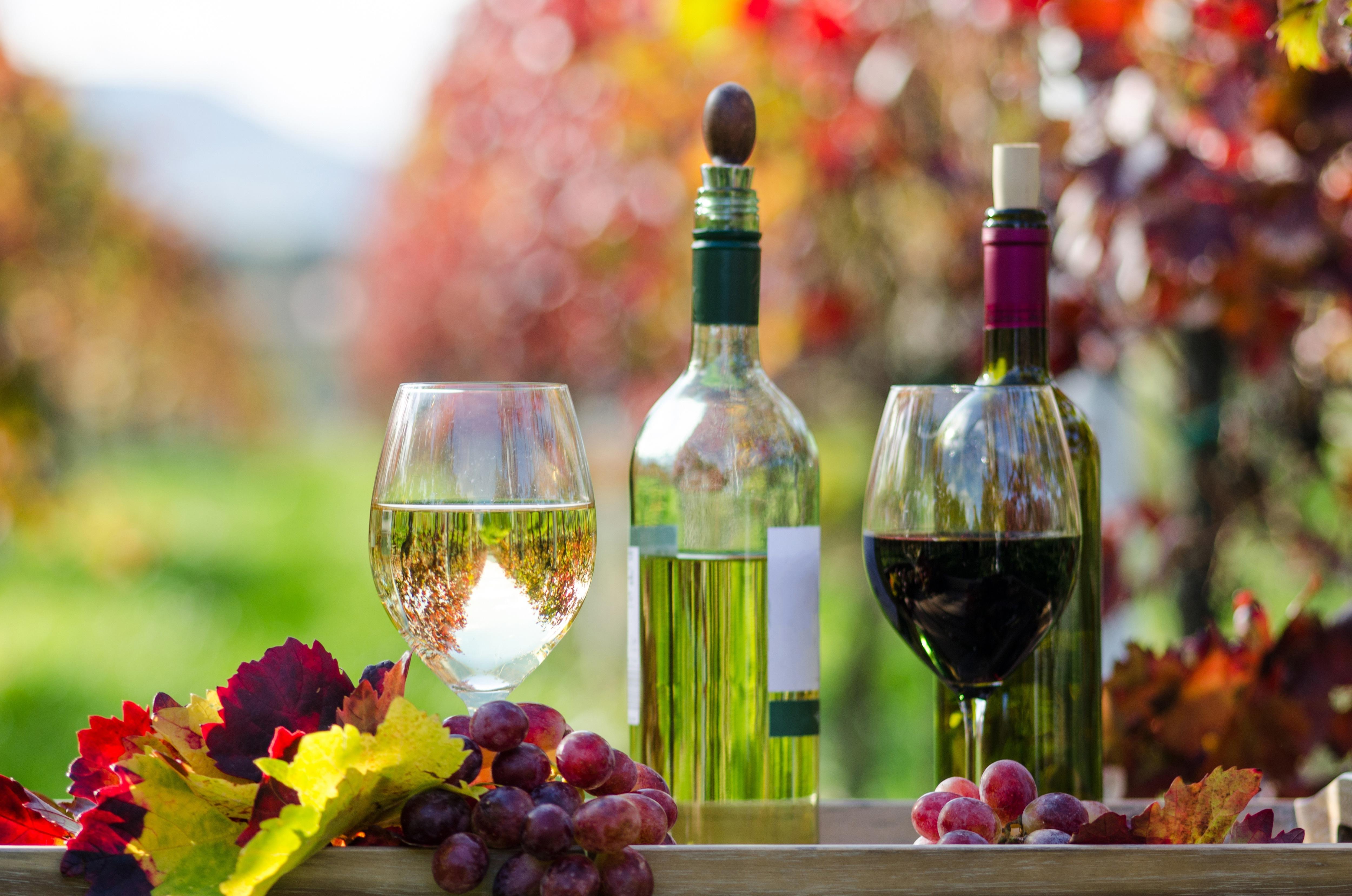 autumn, fruits, autumn splendor, fall, bottles, bokeh, glasses, wine wallpaper
