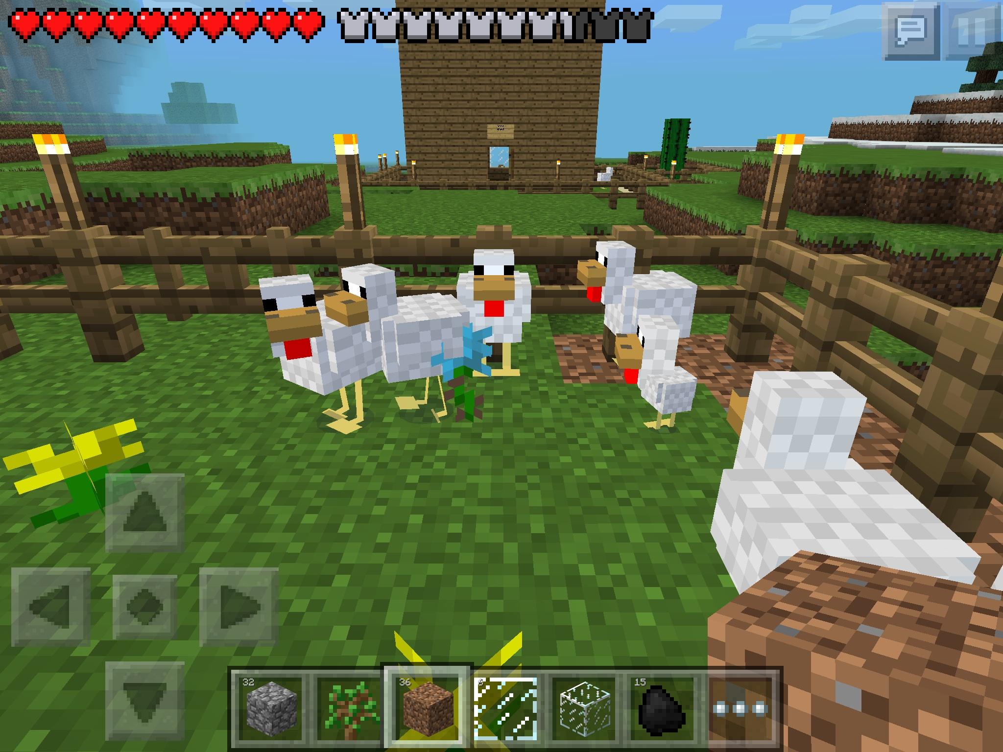 Minecraft Pocket Edition image Chickens hang out at my chicken farm