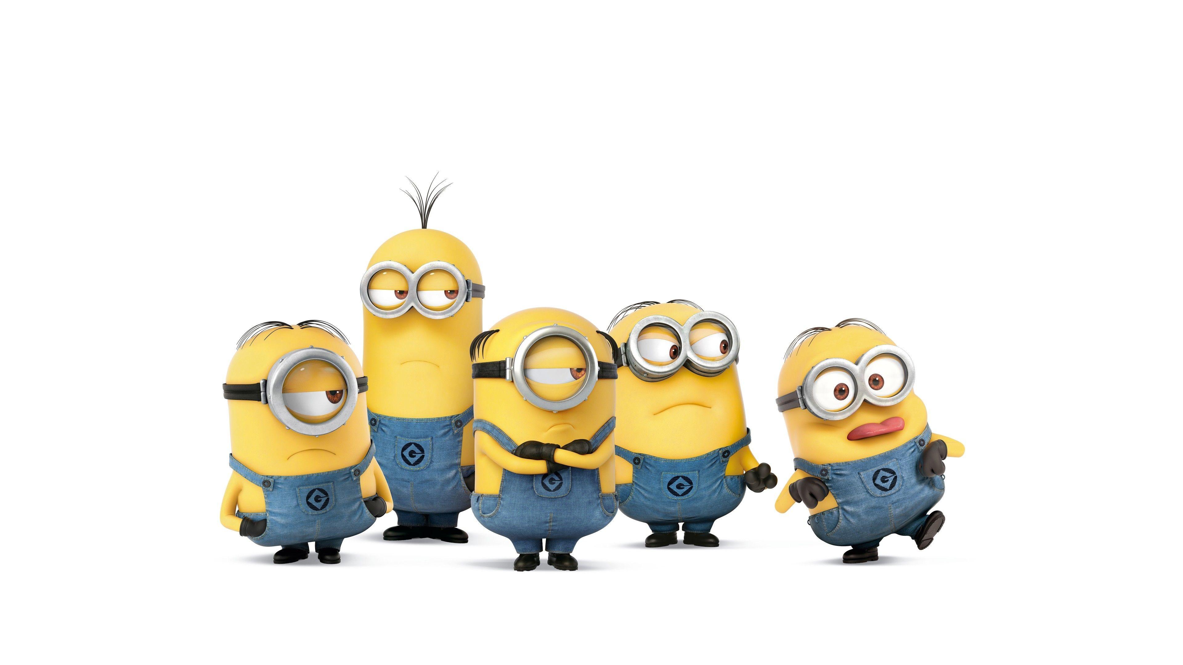 Download wallpapers Bob Despicable Me minions Bob the Minion blue stone  background Despicable Me characters Bob minion for desktop with  resolution 2880x1800 High Quality HD pictures wallpapers