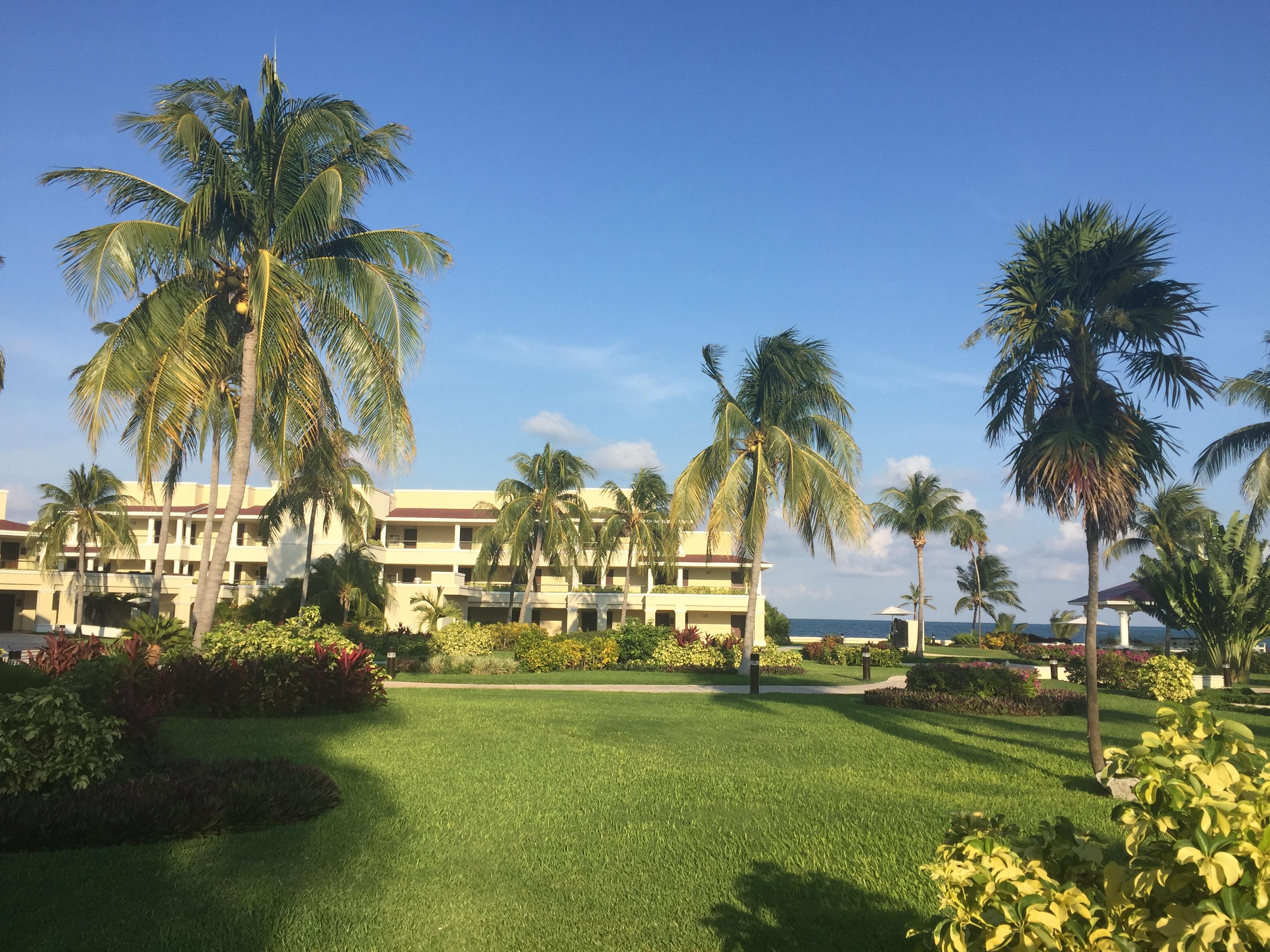 Spotting at Cancun from the Moon Palace Resort Spotting Blog