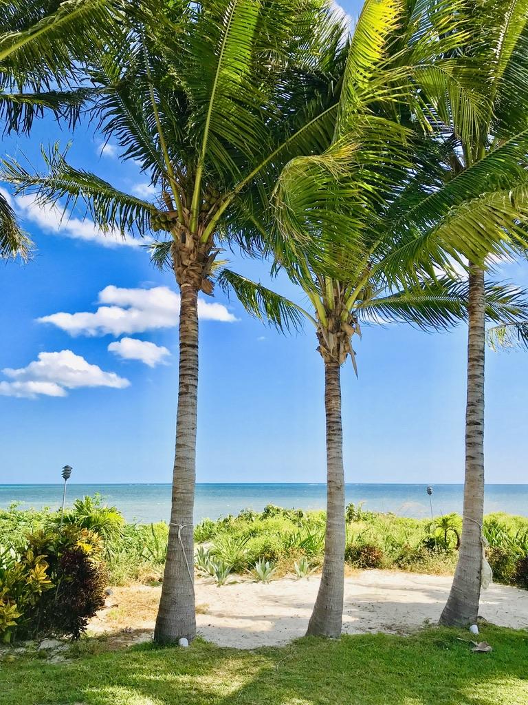 Review of The Grand at Moon Palace Cancun Family Home