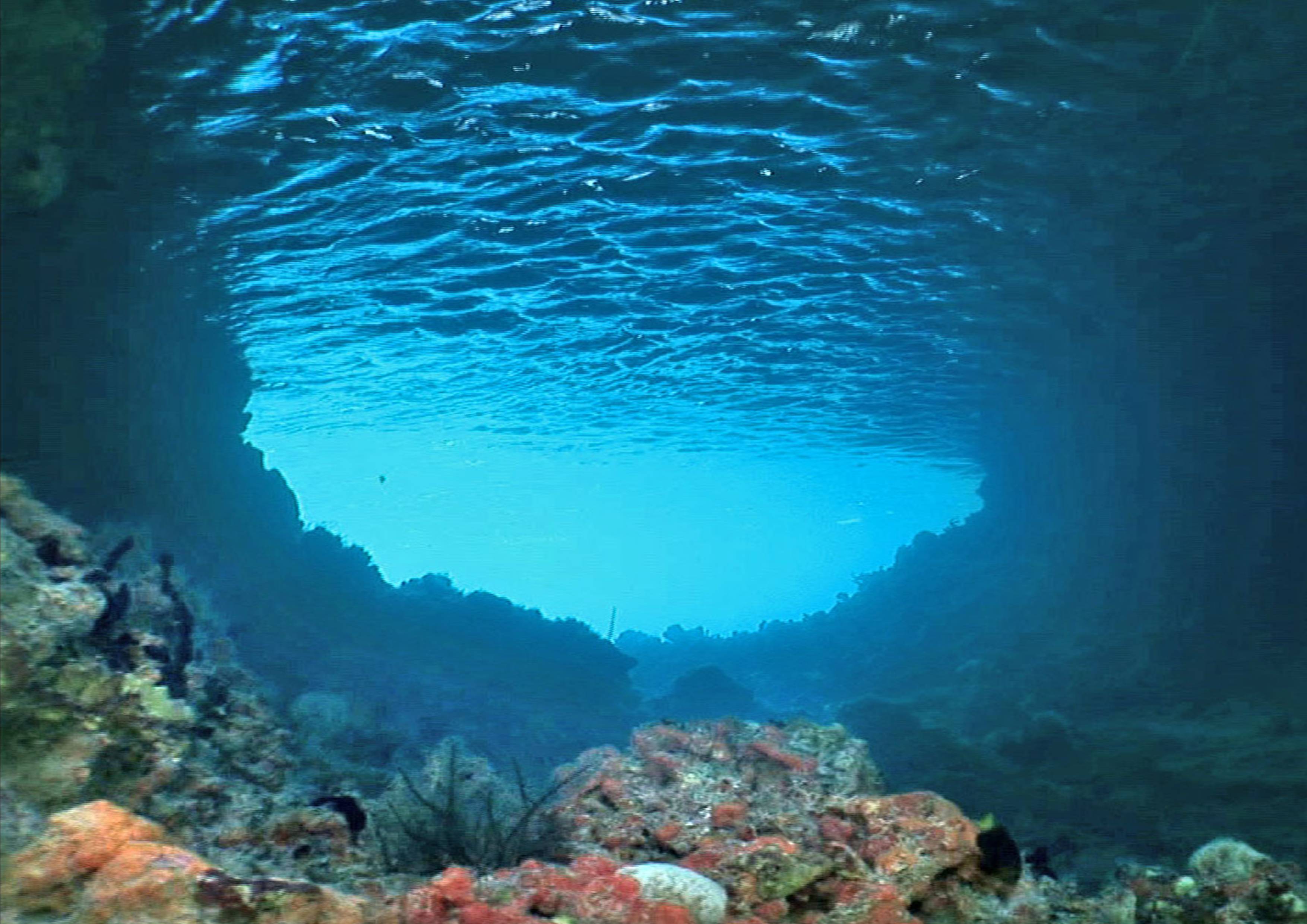 Underwater Picture (24)