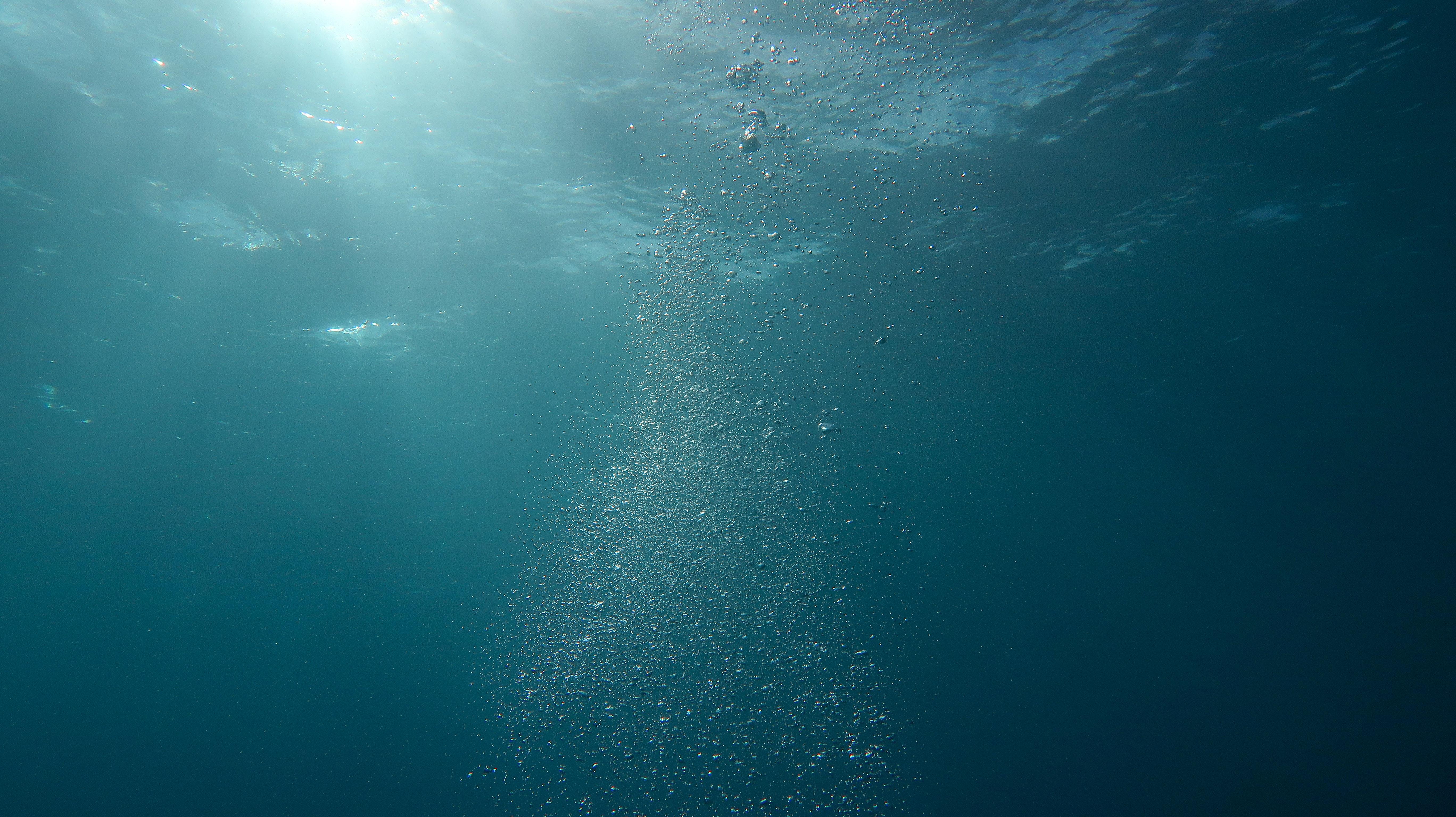 Interesting Underwater Photo