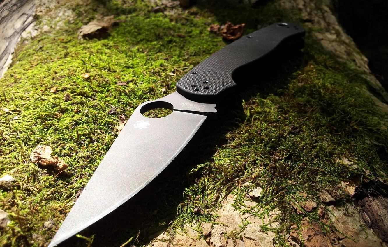 Wallpaper forest, tree, moss, Knife, Spyderco. Paramilitary