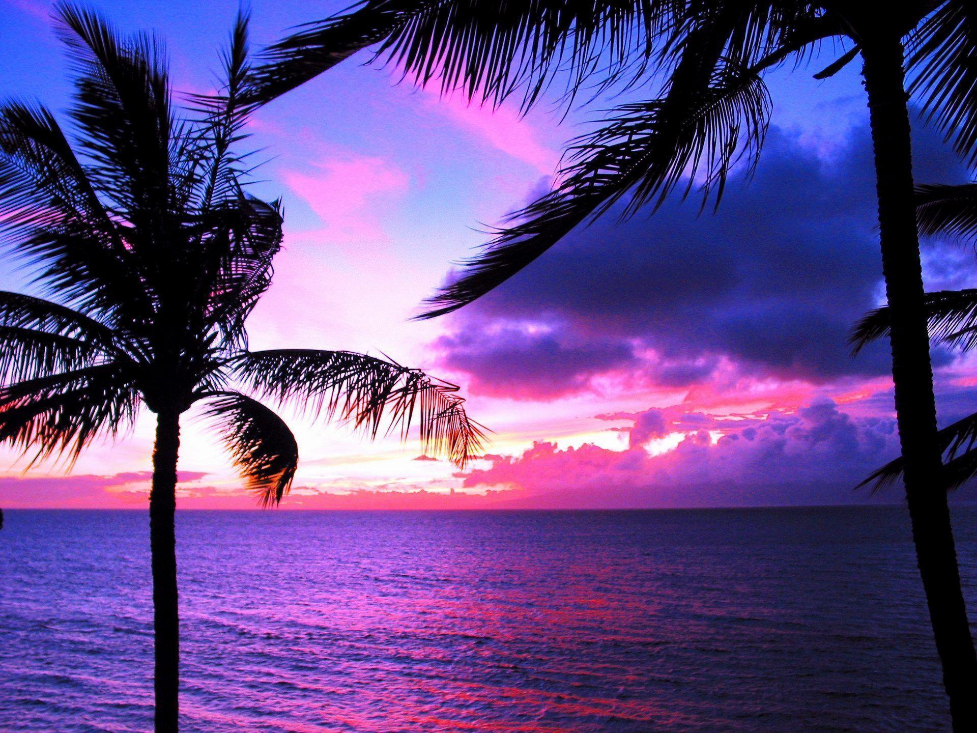 Sunset Hawaii Beach Desktop Wallpaper